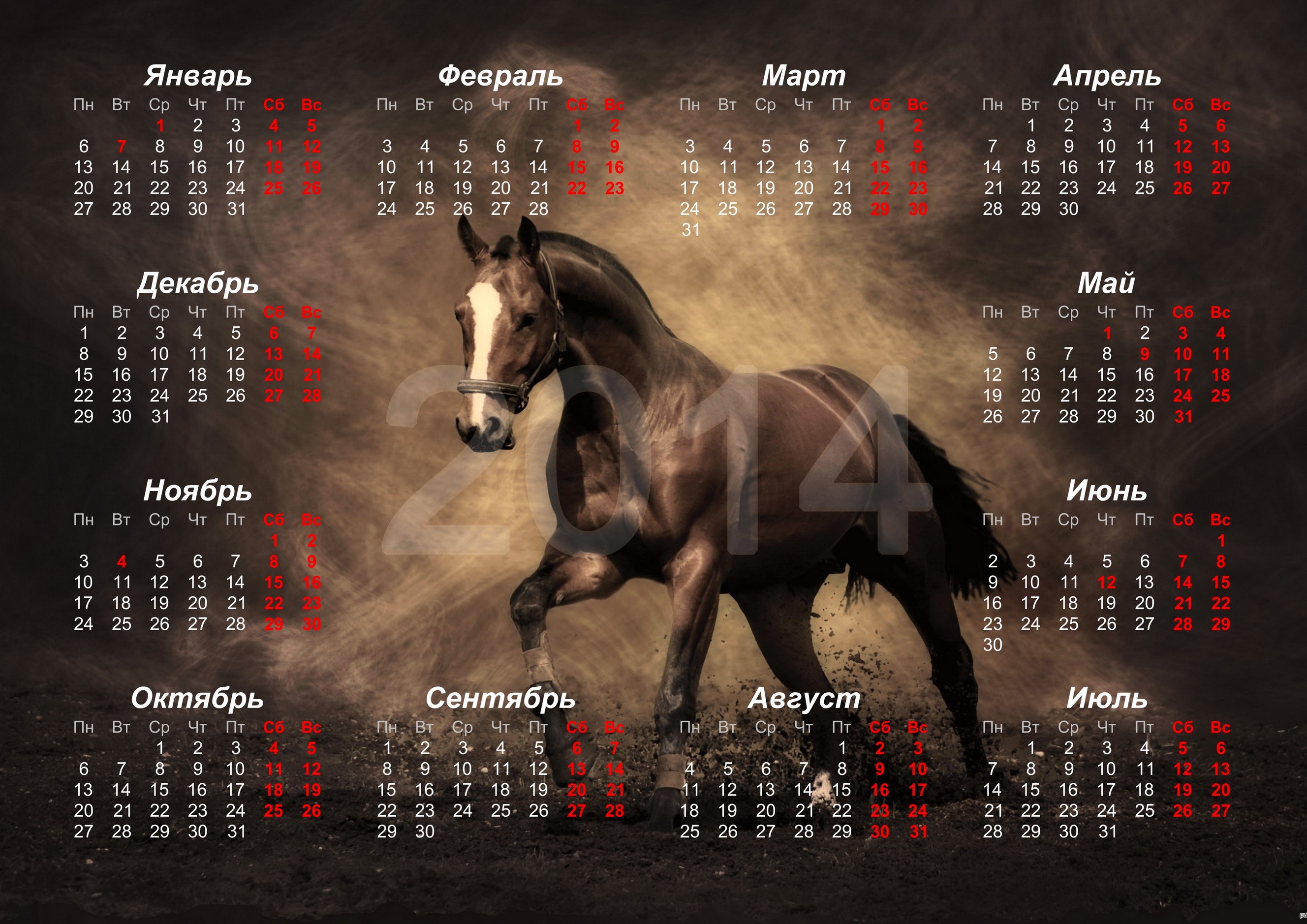 Horse calendar 2014 HD Wallpaper
