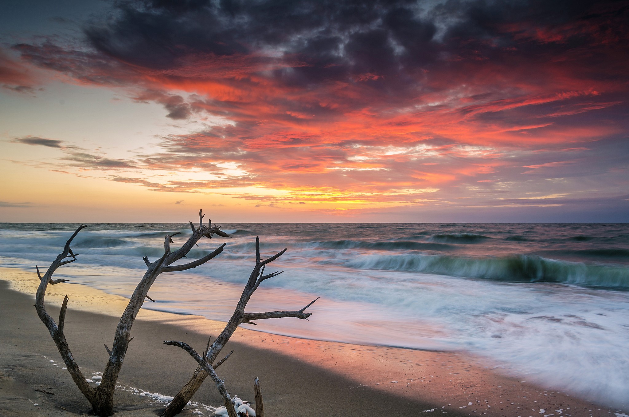 Driftwood on a beach at sunset with ocean waves HD Wallpaper