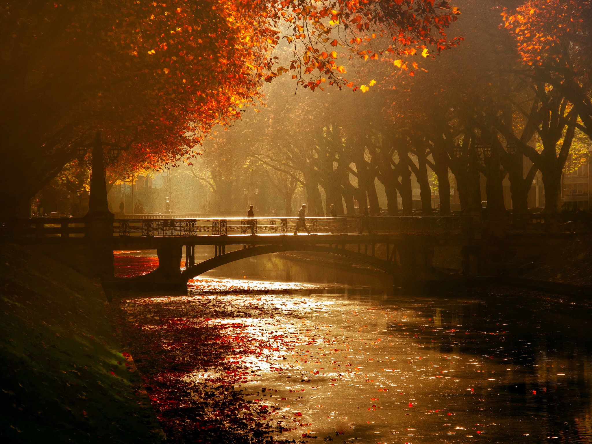 Autumn bridge over a river in Germany HD Wallpaper