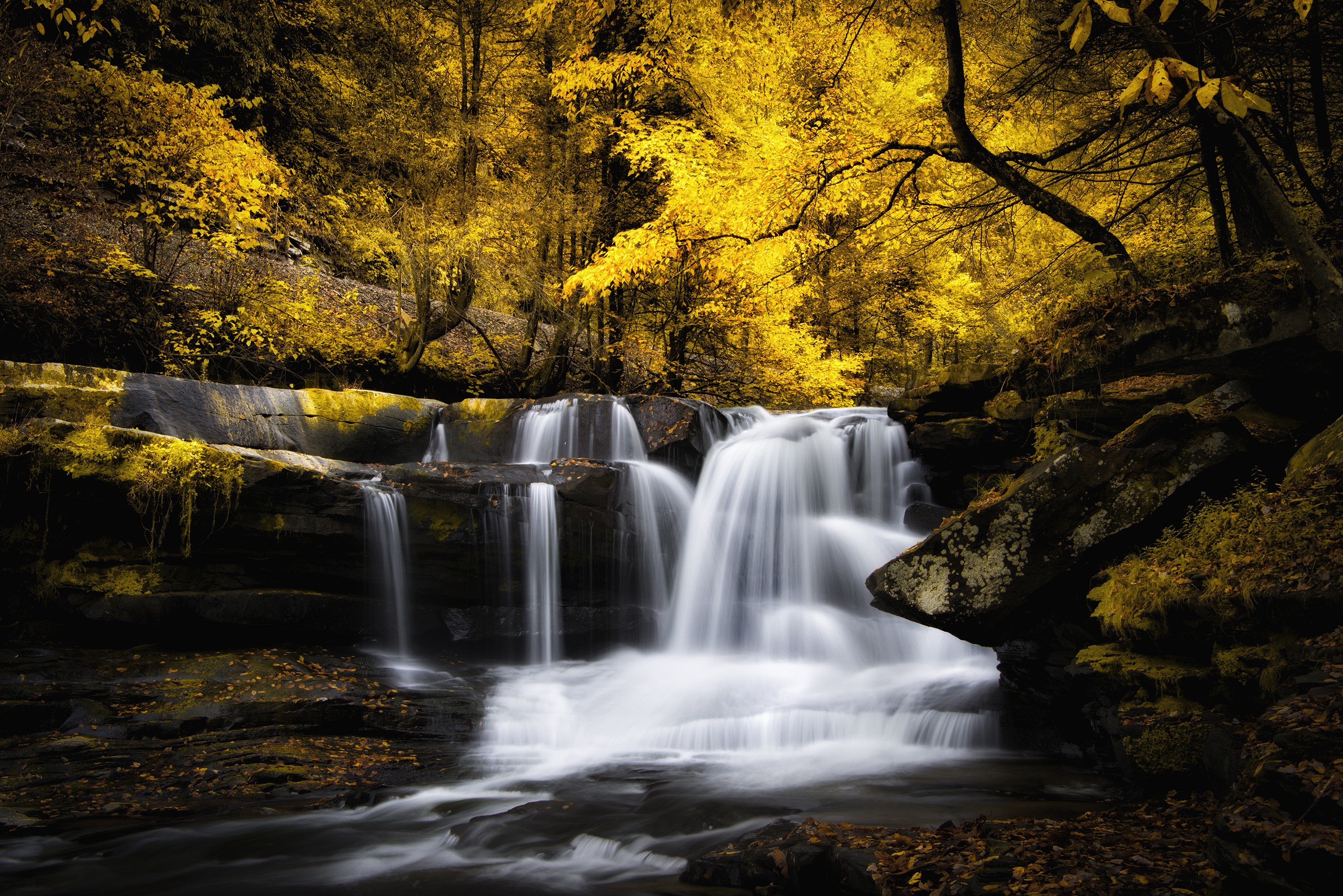 Waterfall in a golden autumn forest HD Wallpaper