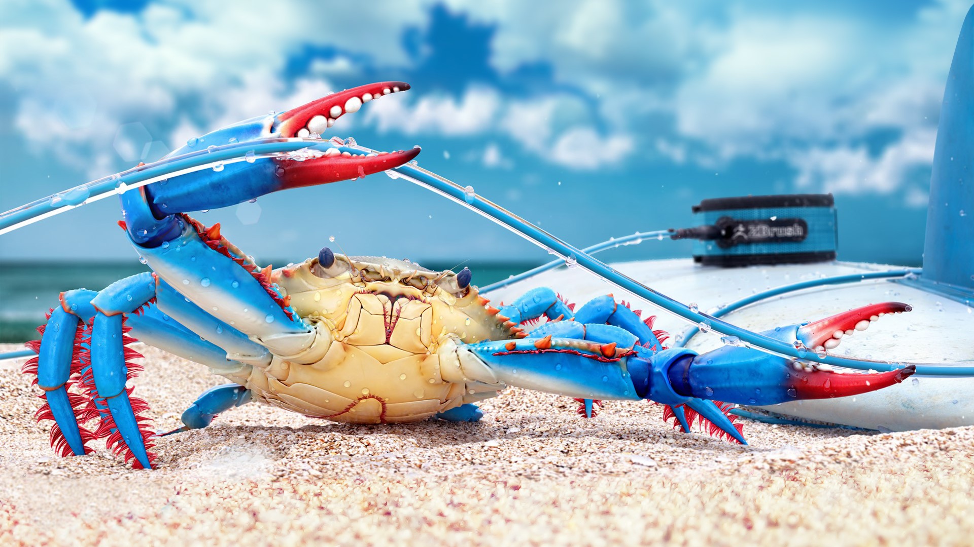 Blue and red crab on a sandy beach with surfboard leash HD Wallpaper