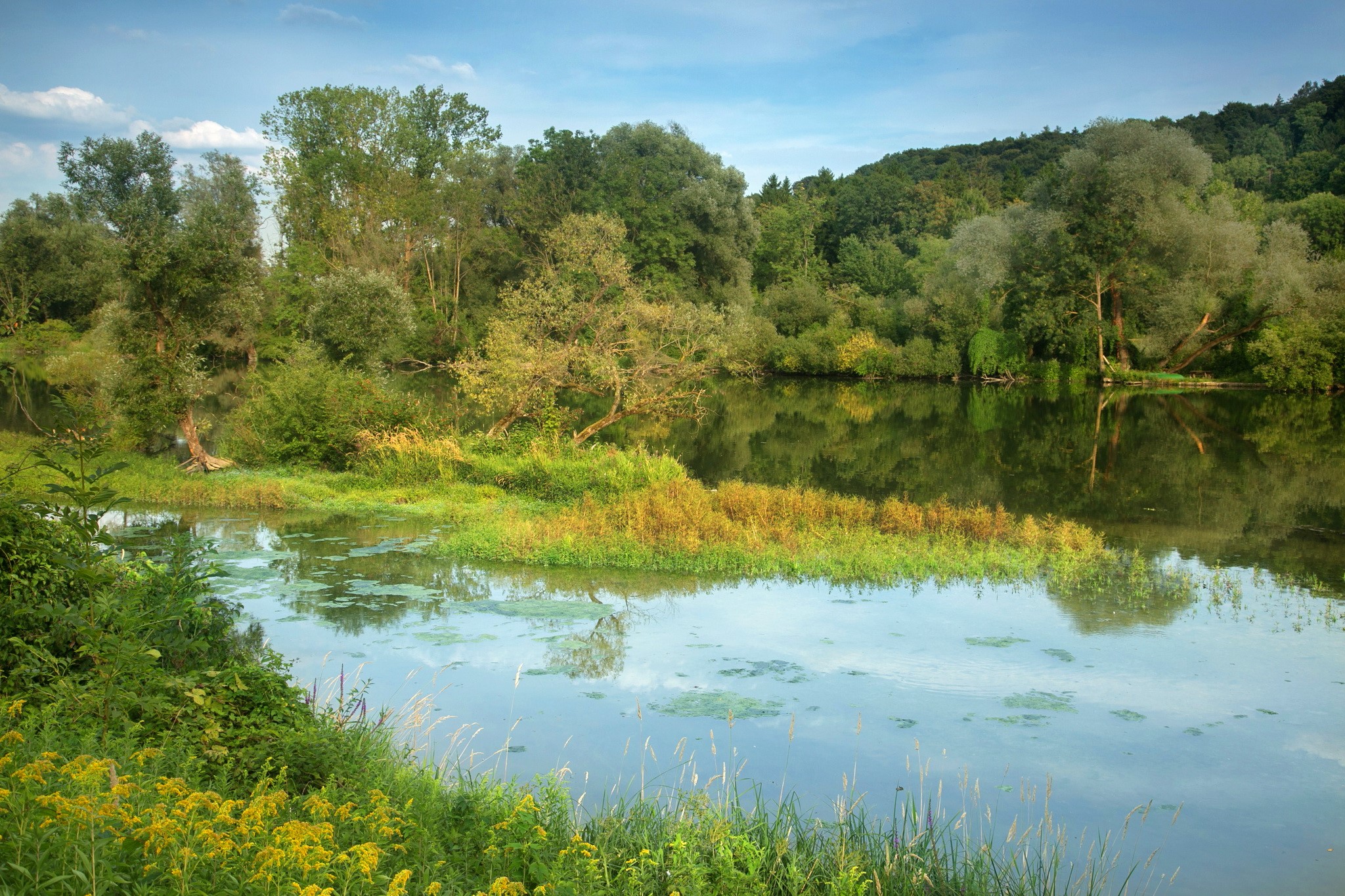 River and trees in Niederaichbach, Bavaria, Germany HD Wallpaper