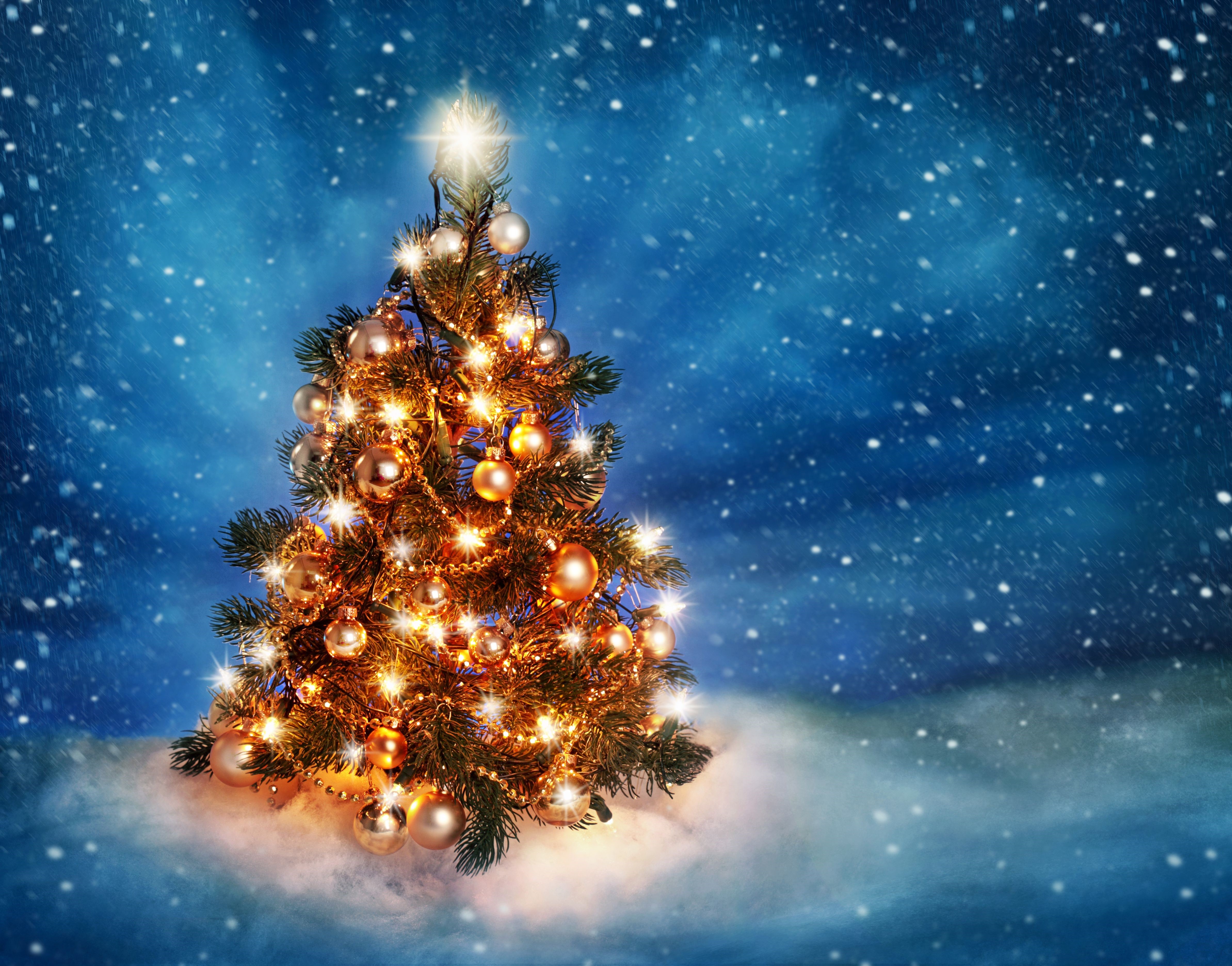 Christmas tree with lights and ornaments HD Wallpaper