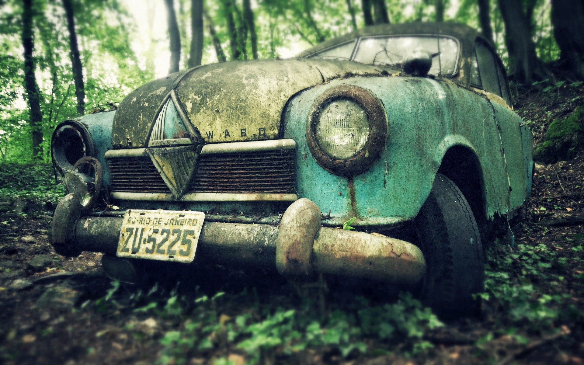 Abandoned vintage car in a forest HD Wallpaper