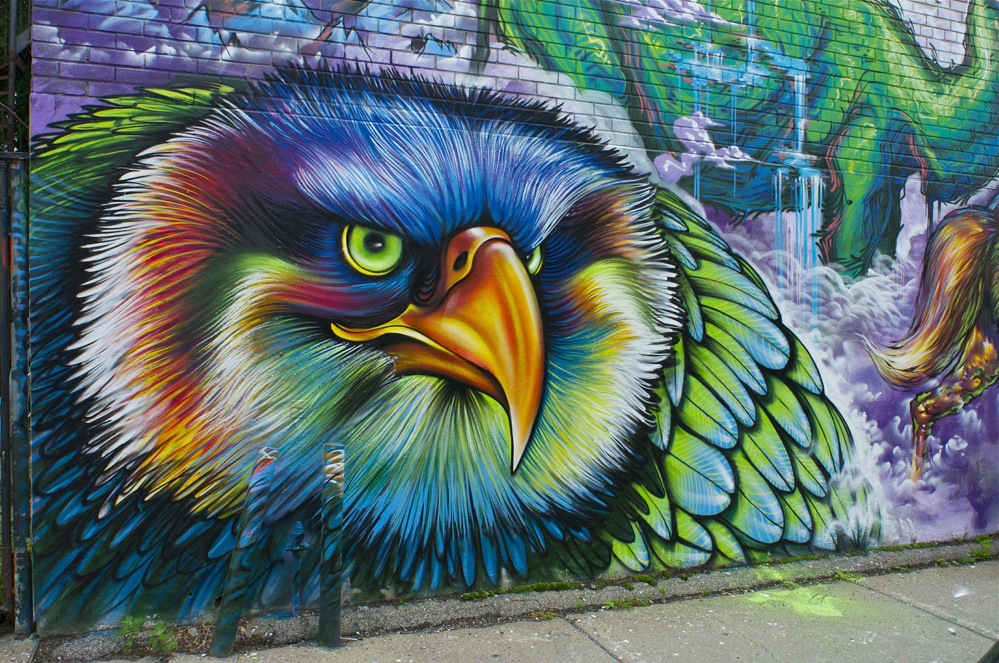 Graffiti of a colorful eagle on a brick wall HD Wallpaper