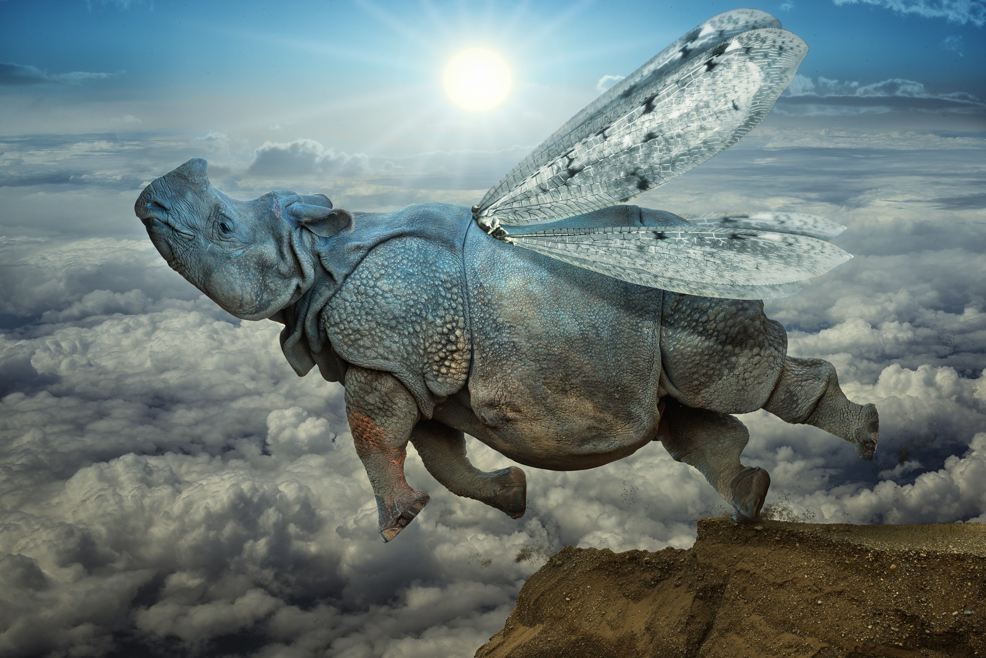 Rhinoceros with dragonfly wings flying over clouds HD Wallpaper