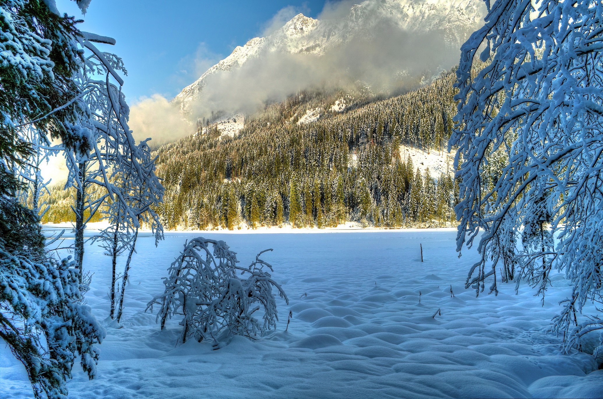 Snowy mountain landscape with snow-covered trees and frozen lake HD Wallpaper