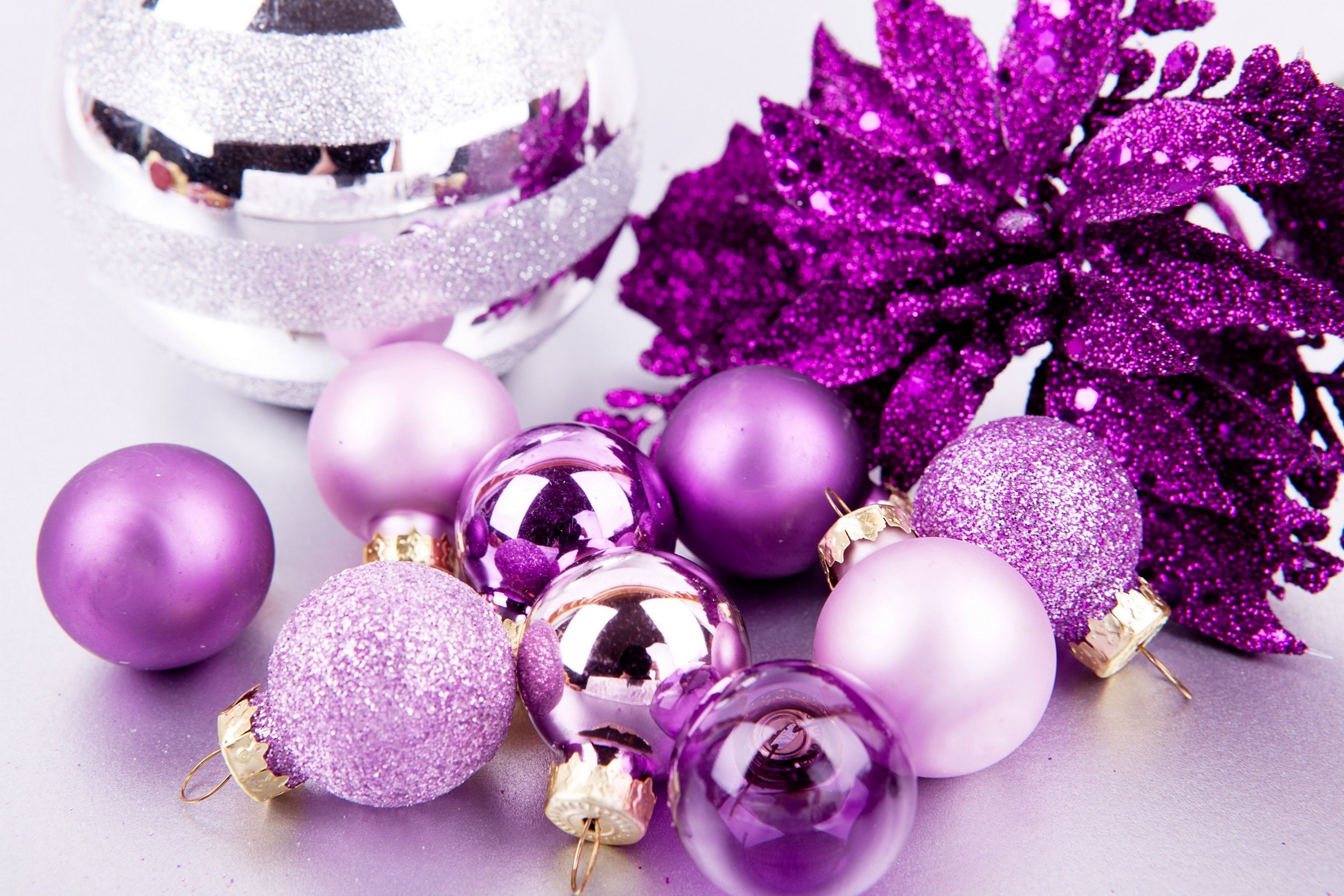 Purple and silver Christmas ornaments and poinsettia HD Wallpaper