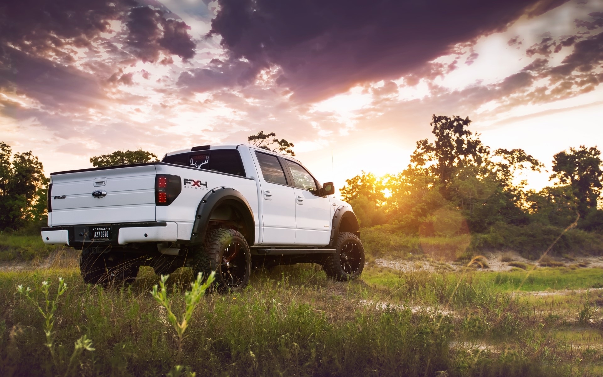 White Ford F-150 FX4 Truck in Grass HD Wallpaper