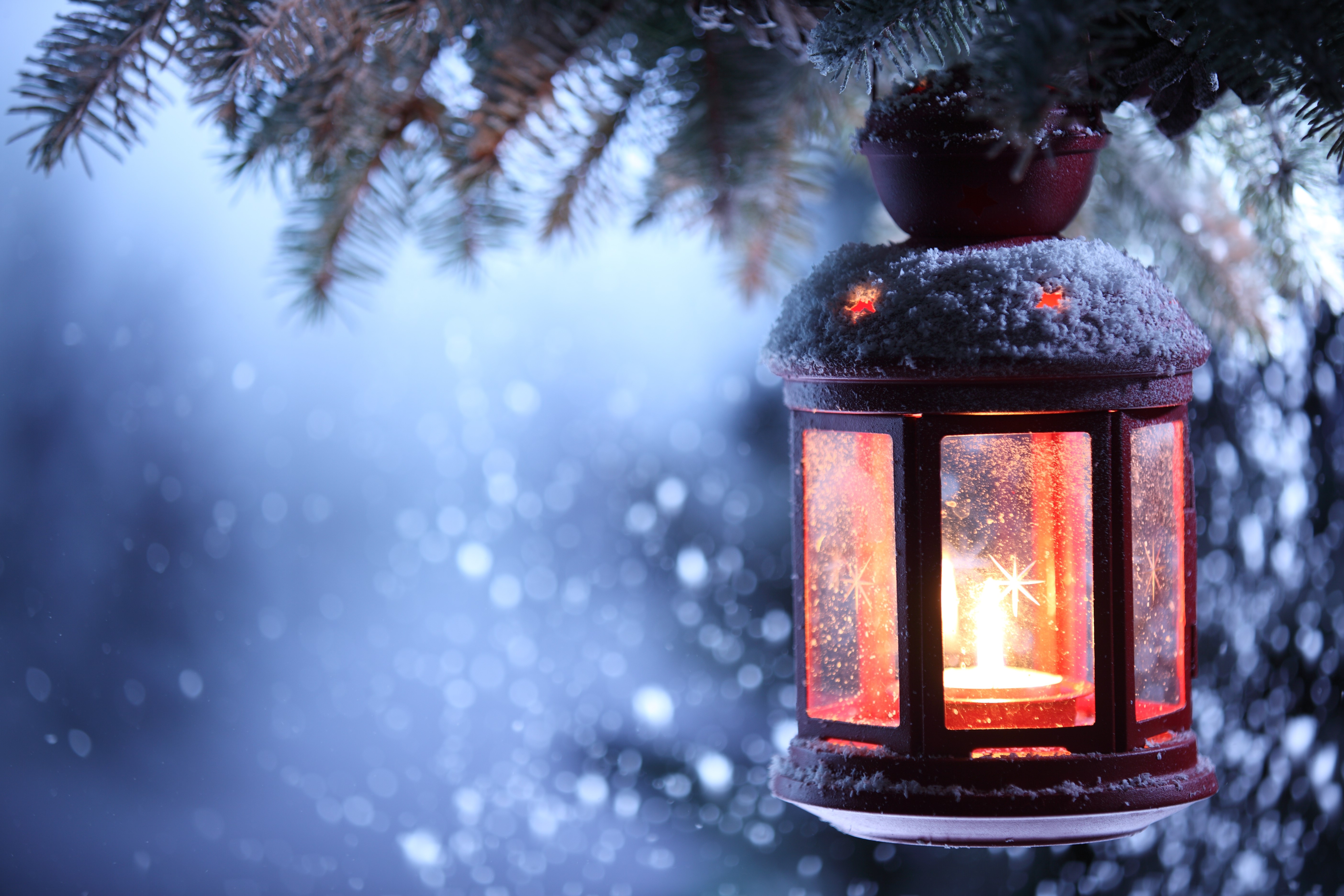 Christmas lantern with candle on a snowy branch HD Wallpaper