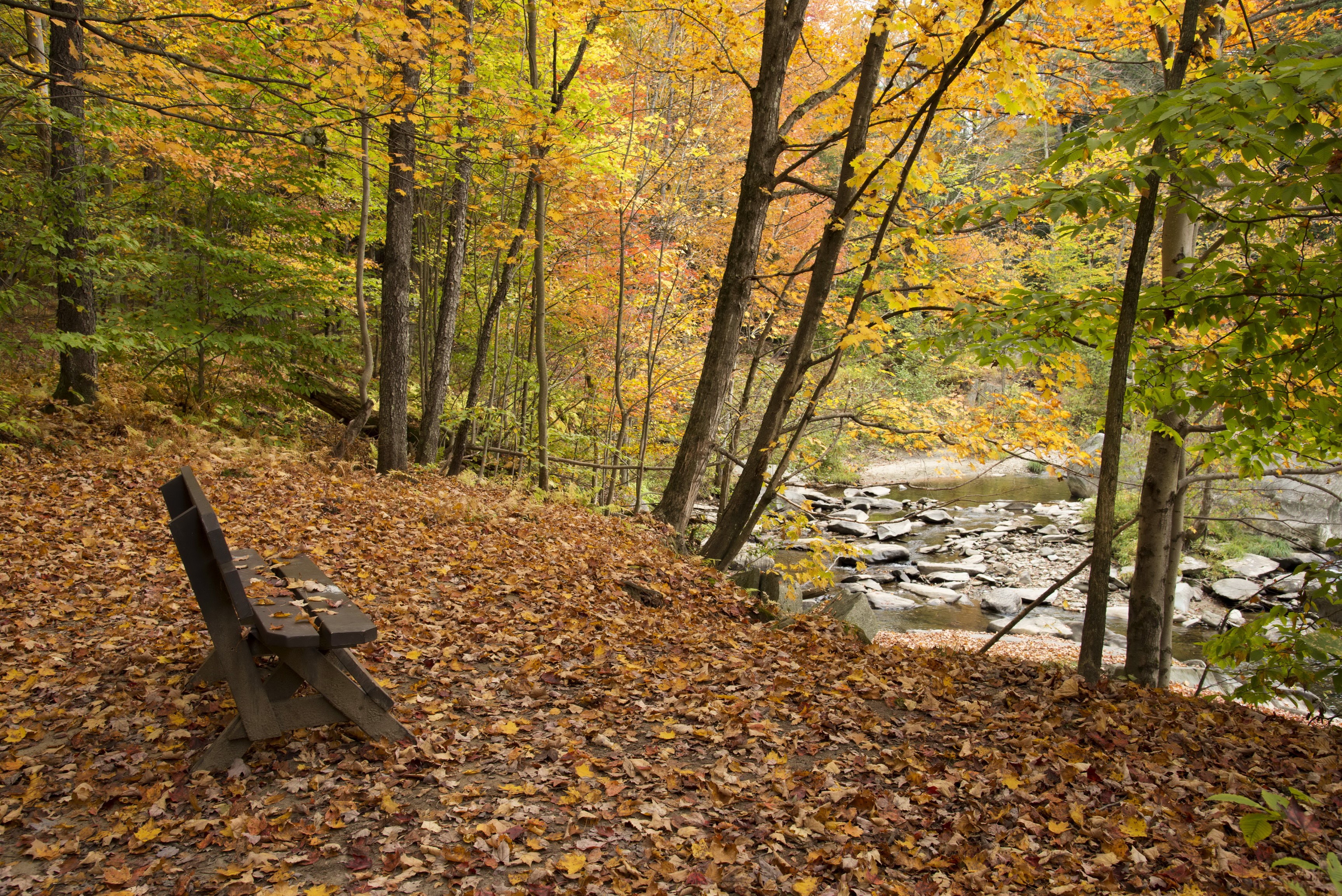 Autumn park with a bench by a rocky river HD Wallpaper