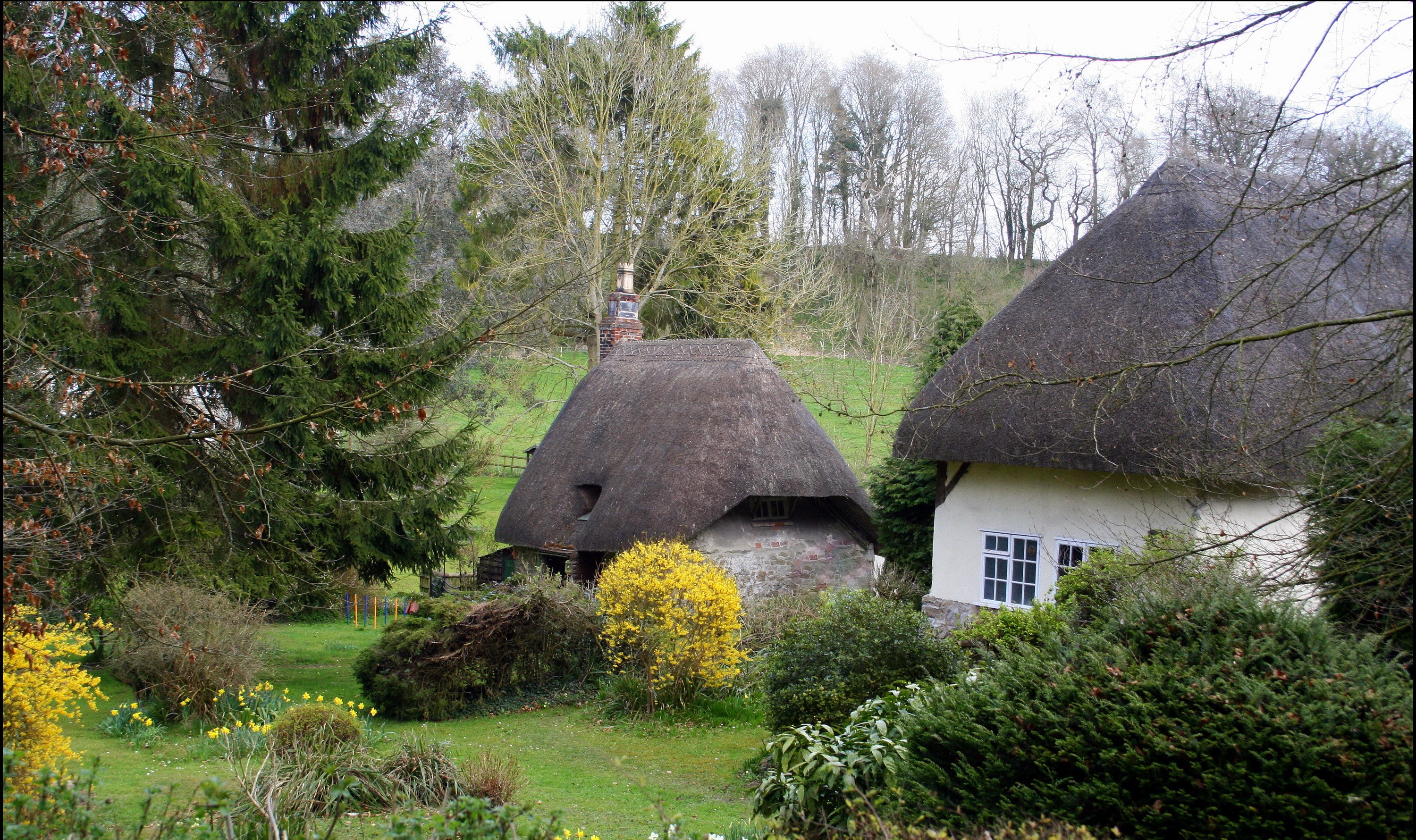 Thatched roof cottages in a garden with trees HD Wallpaper