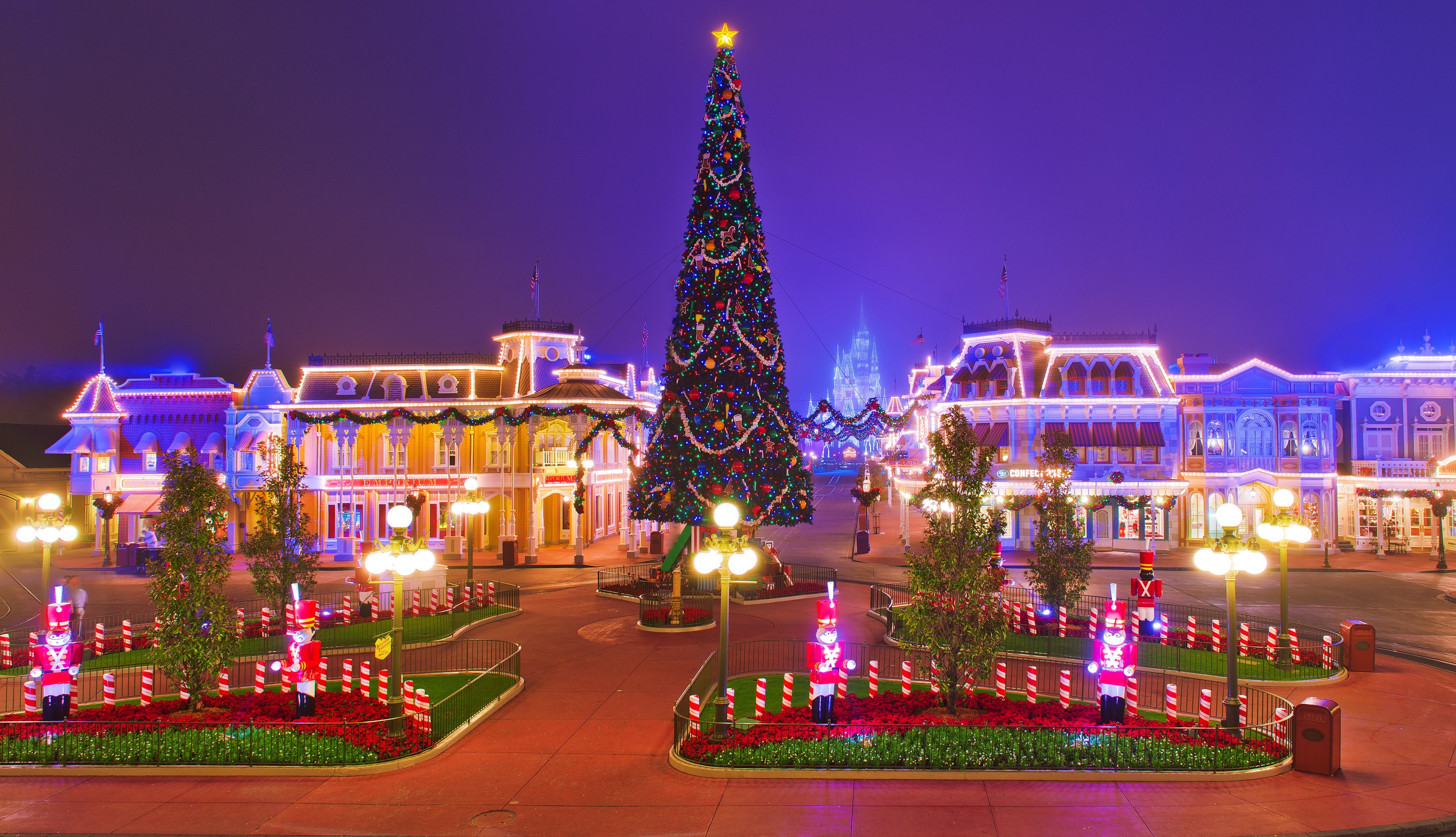 Christmas Tree and Buildings in Disneyland at Night HD Wallpaper