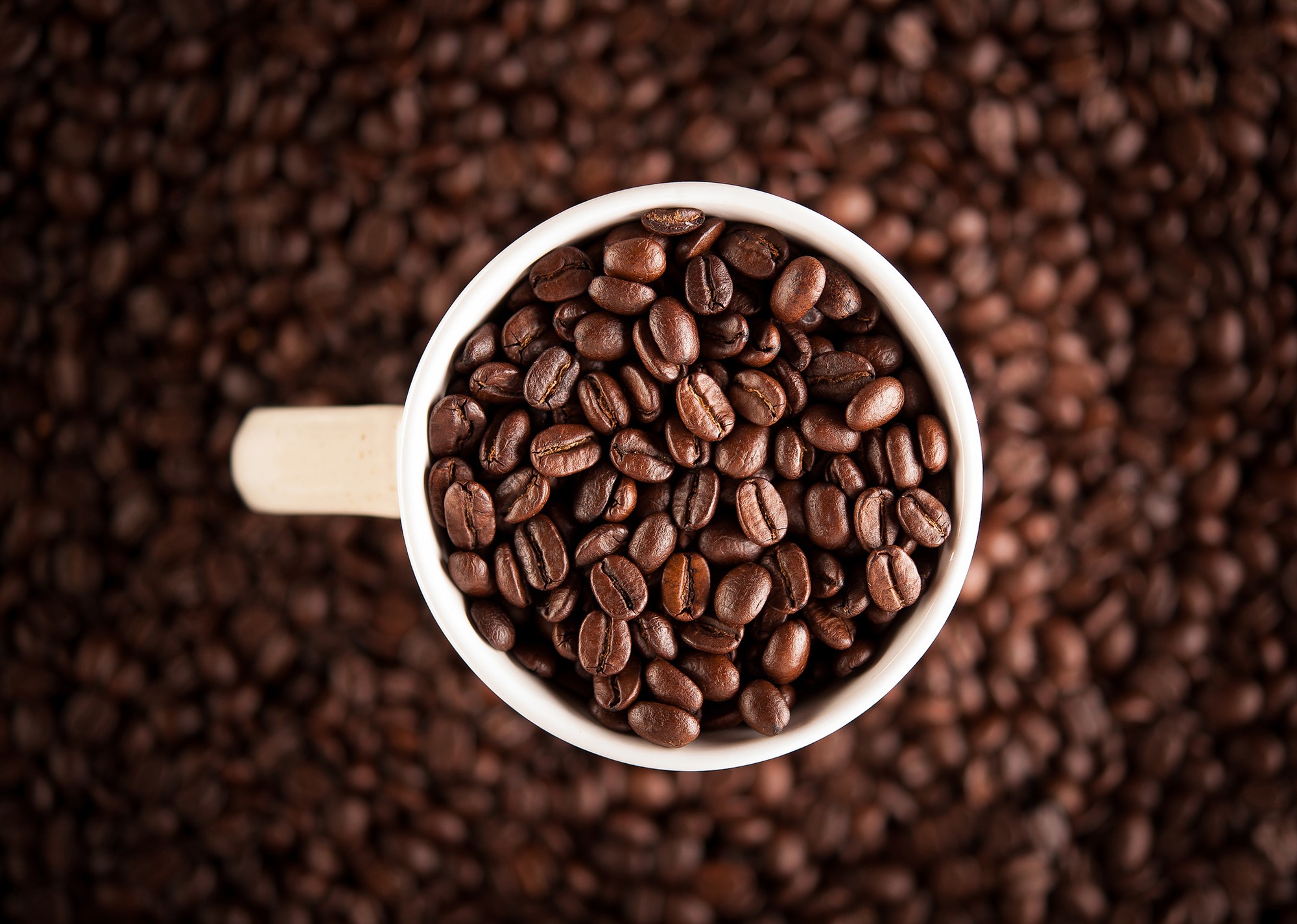 A white mug filled with coffee beans on a background of coffee beans HD Wallpaper