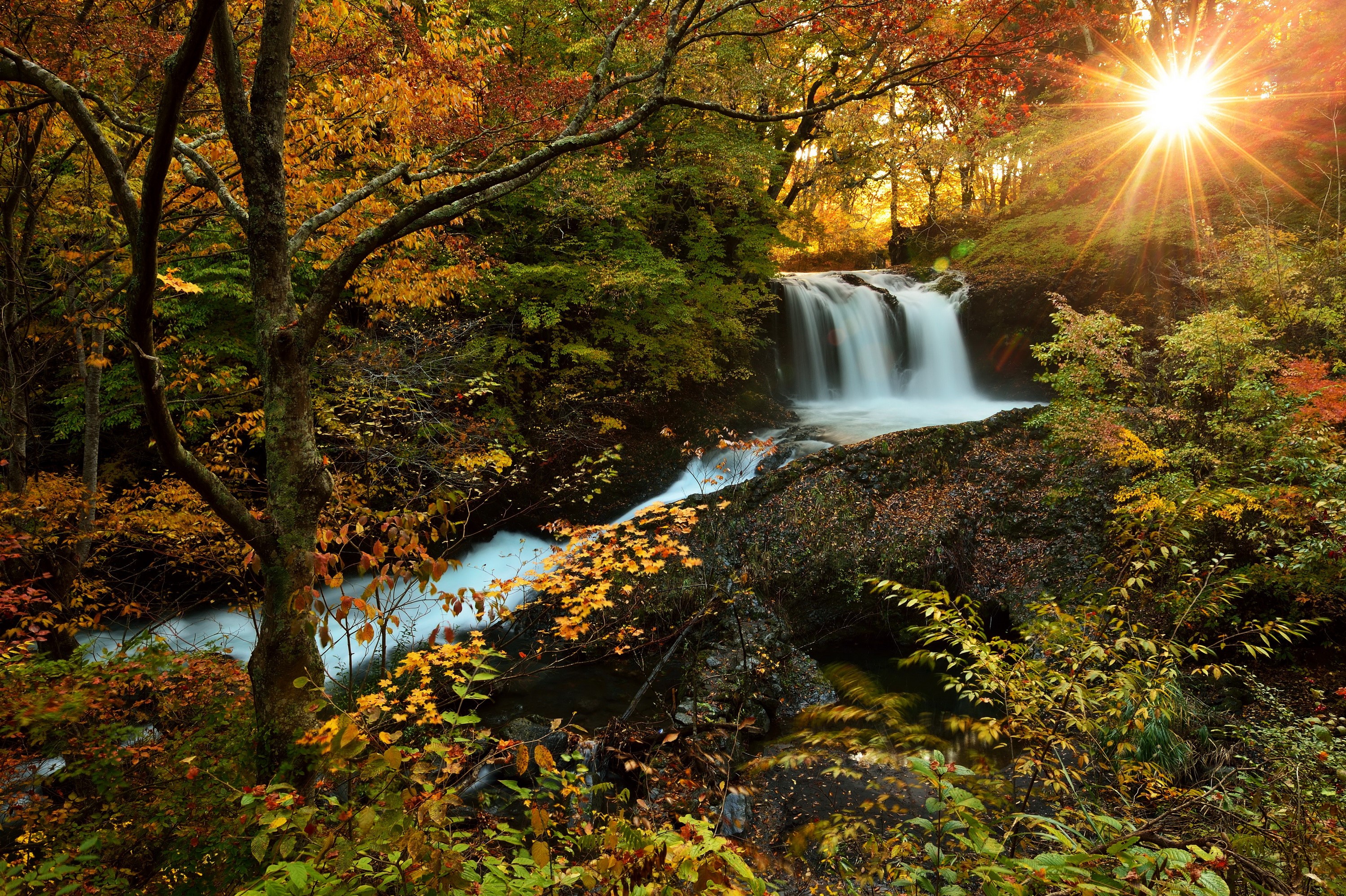 Waterfall in an autumn forest with sun rays HD Wallpaper