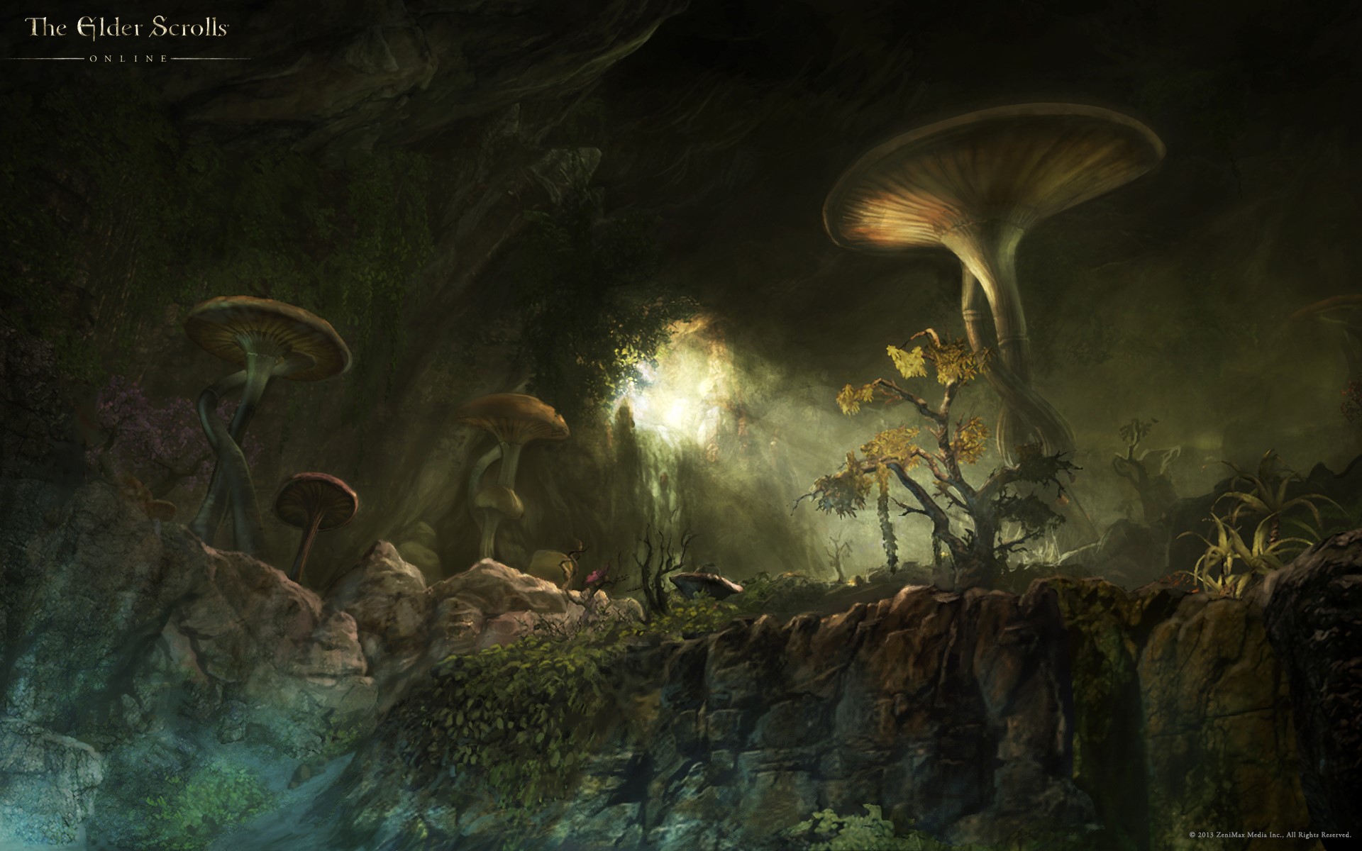 The Elder Scrolls Online: Giant Mushrooms in a Cave HD Wallpaper