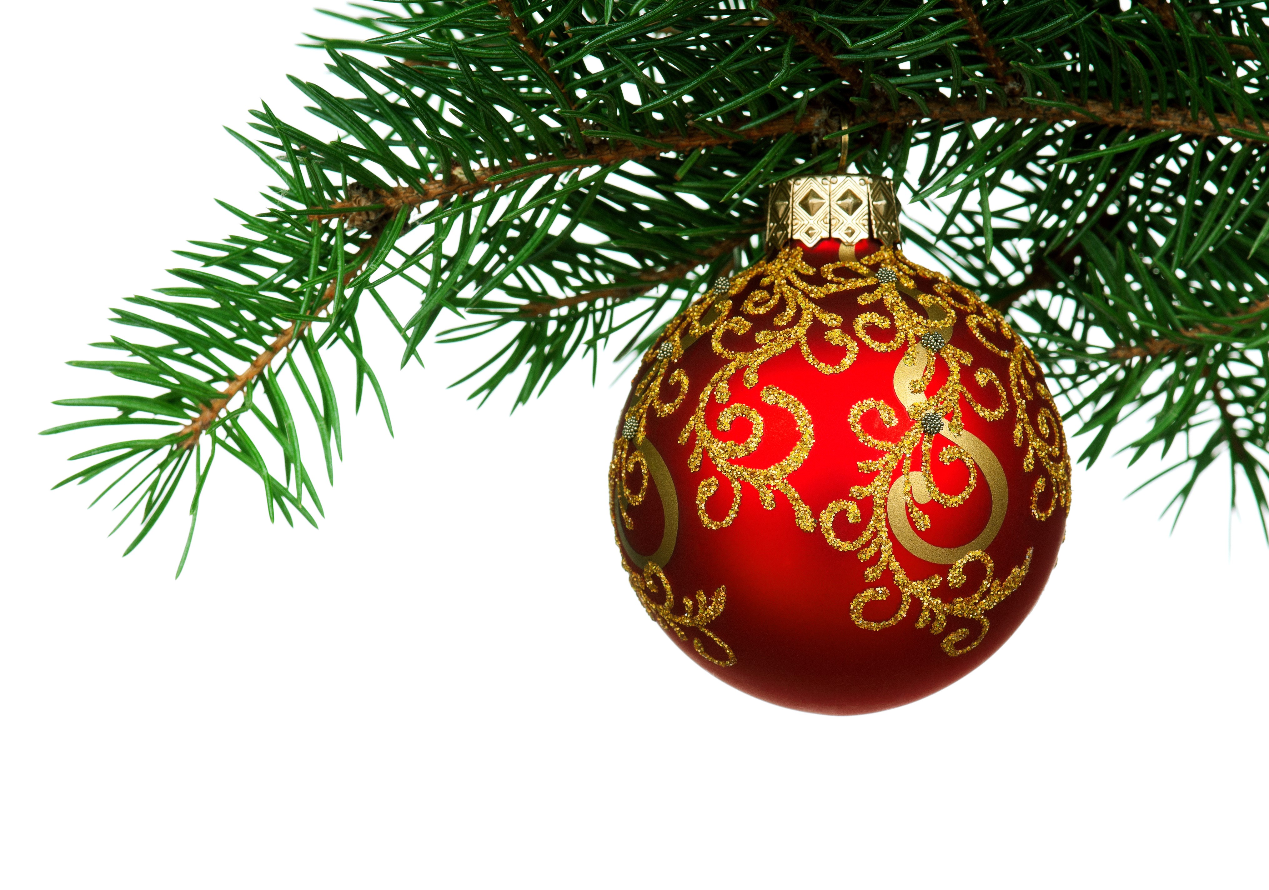 Red Christmas Ornament on Pine Branch HD Wallpaper