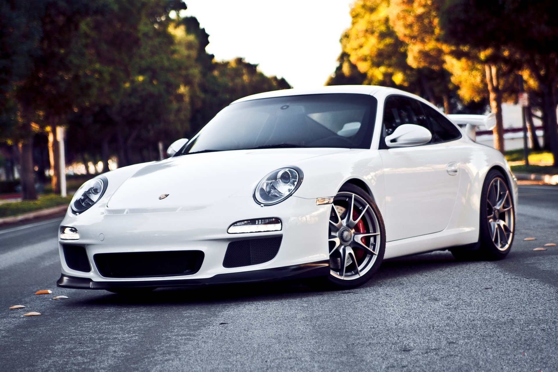 White Porsche 911 on a Tree-Lined Road HD Wallpaper
