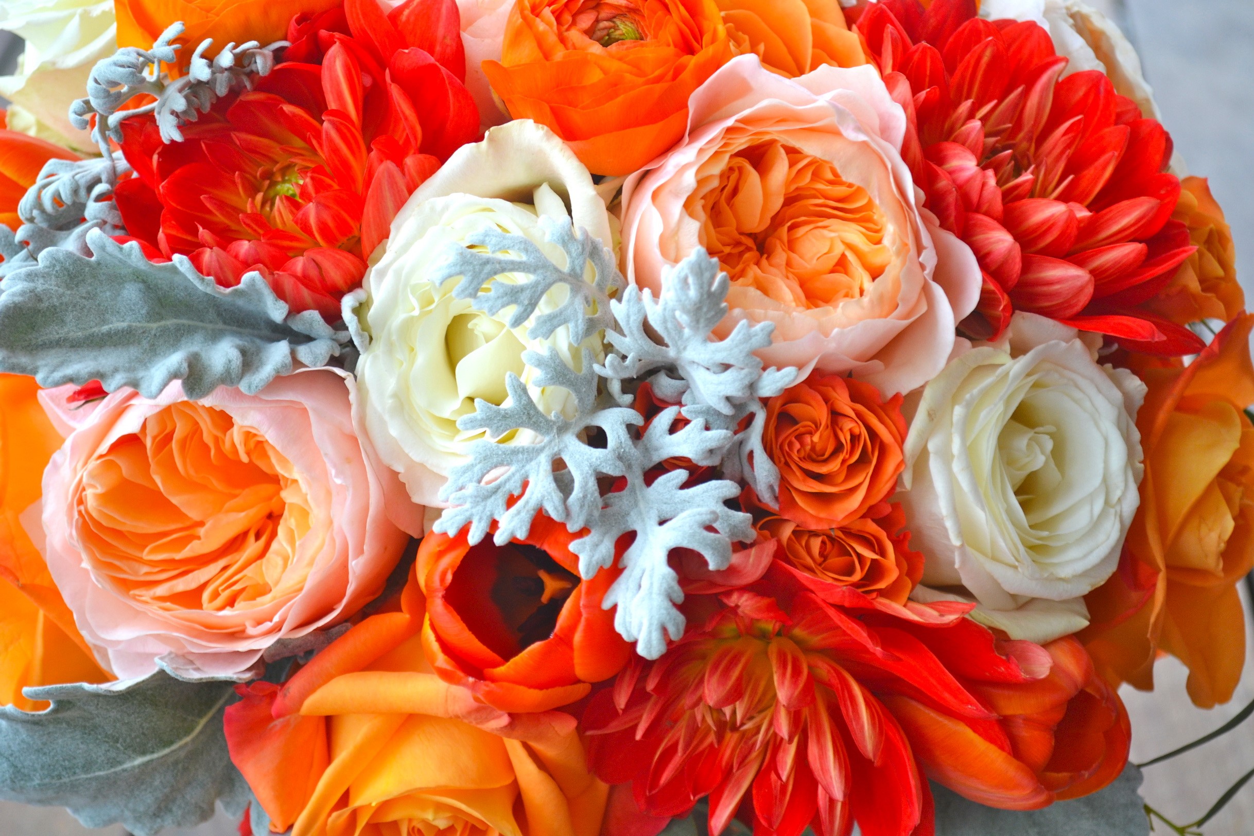 Orange and Red Floral Arrangement with Dusty Miller HD Wallpaper