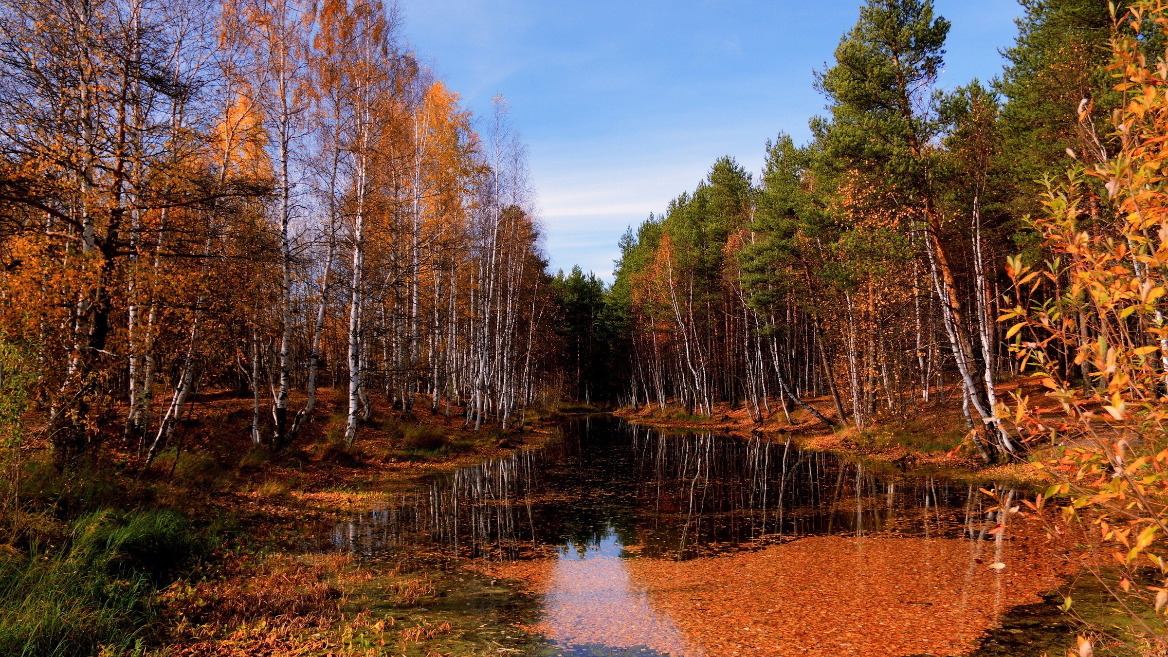 Autumn forest with a river and reflections HD Wallpaper