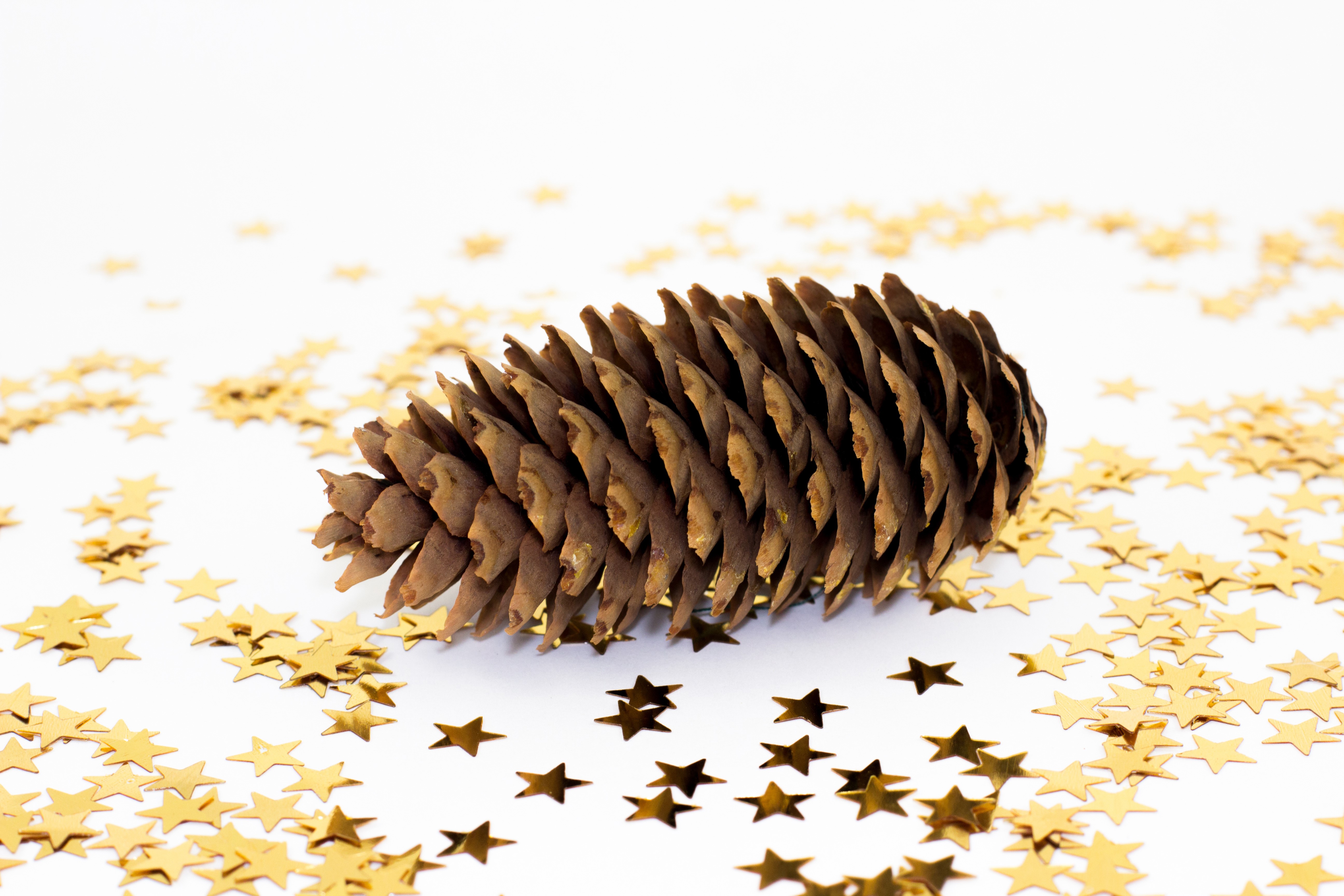 Pine cone with gold star confetti HD Wallpaper