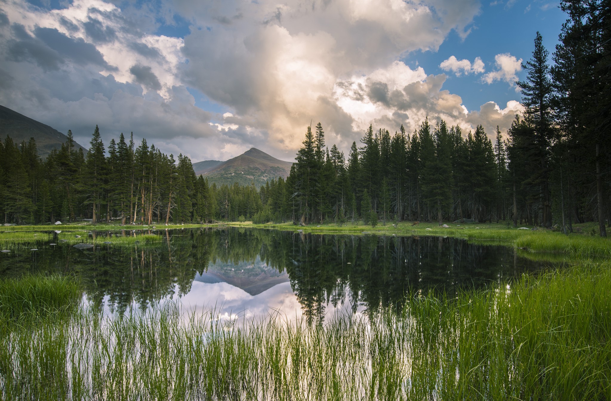 Lake reflection of mountains and pine trees in California HD Wallpaper