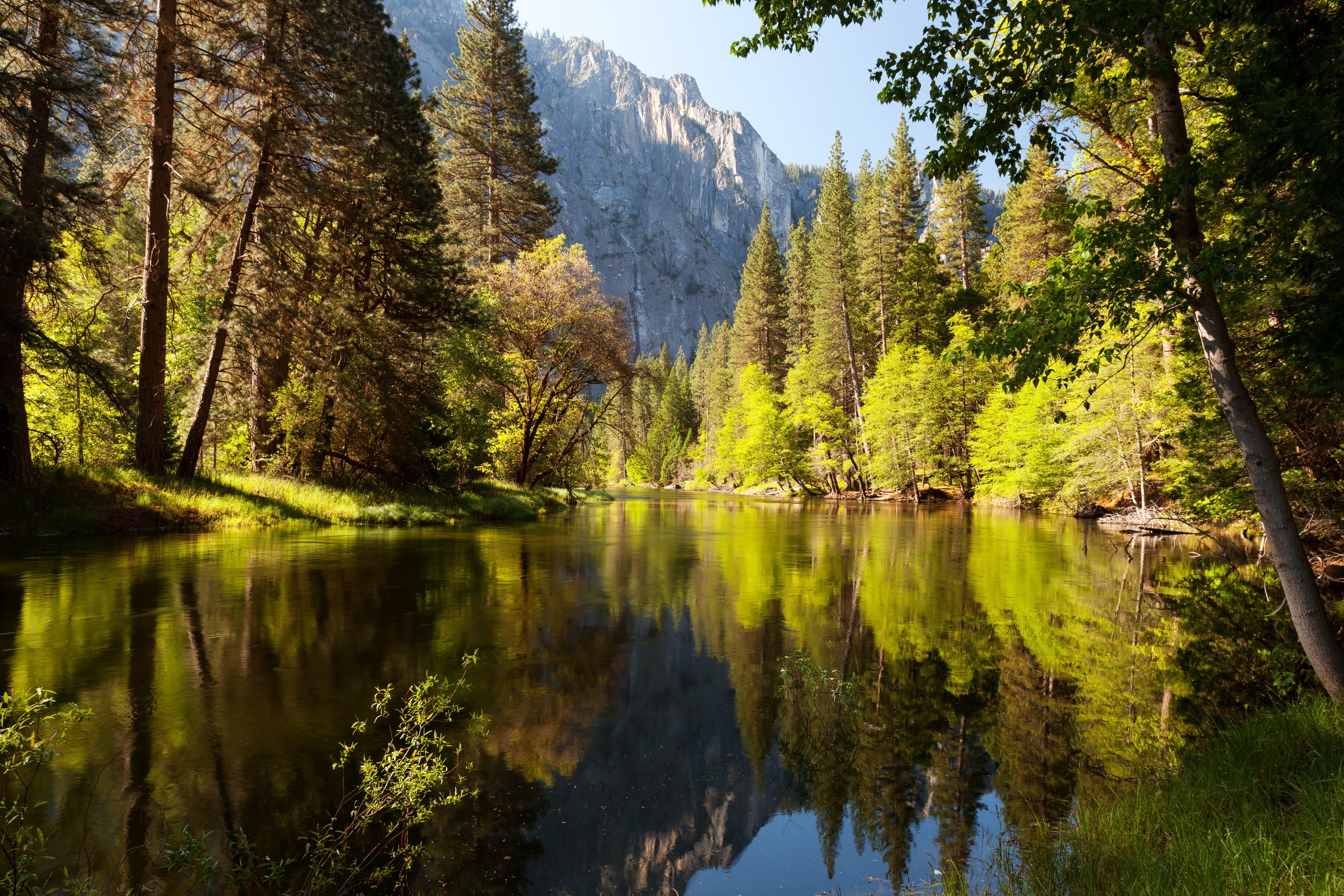 River and forest in Yosemite National Park, California HD Wallpaper