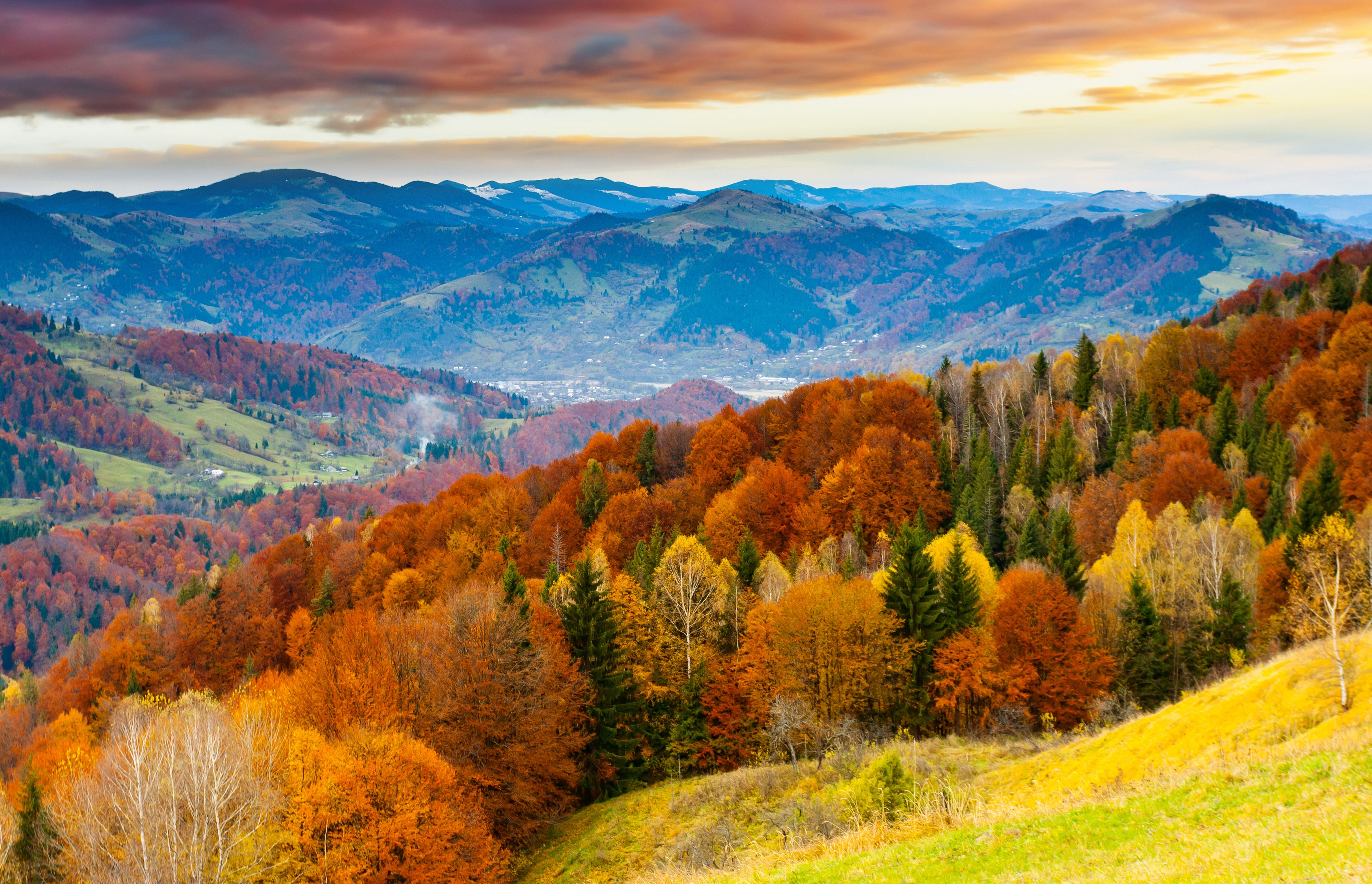 Autumn forest scenery with mountains HD Wallpaper