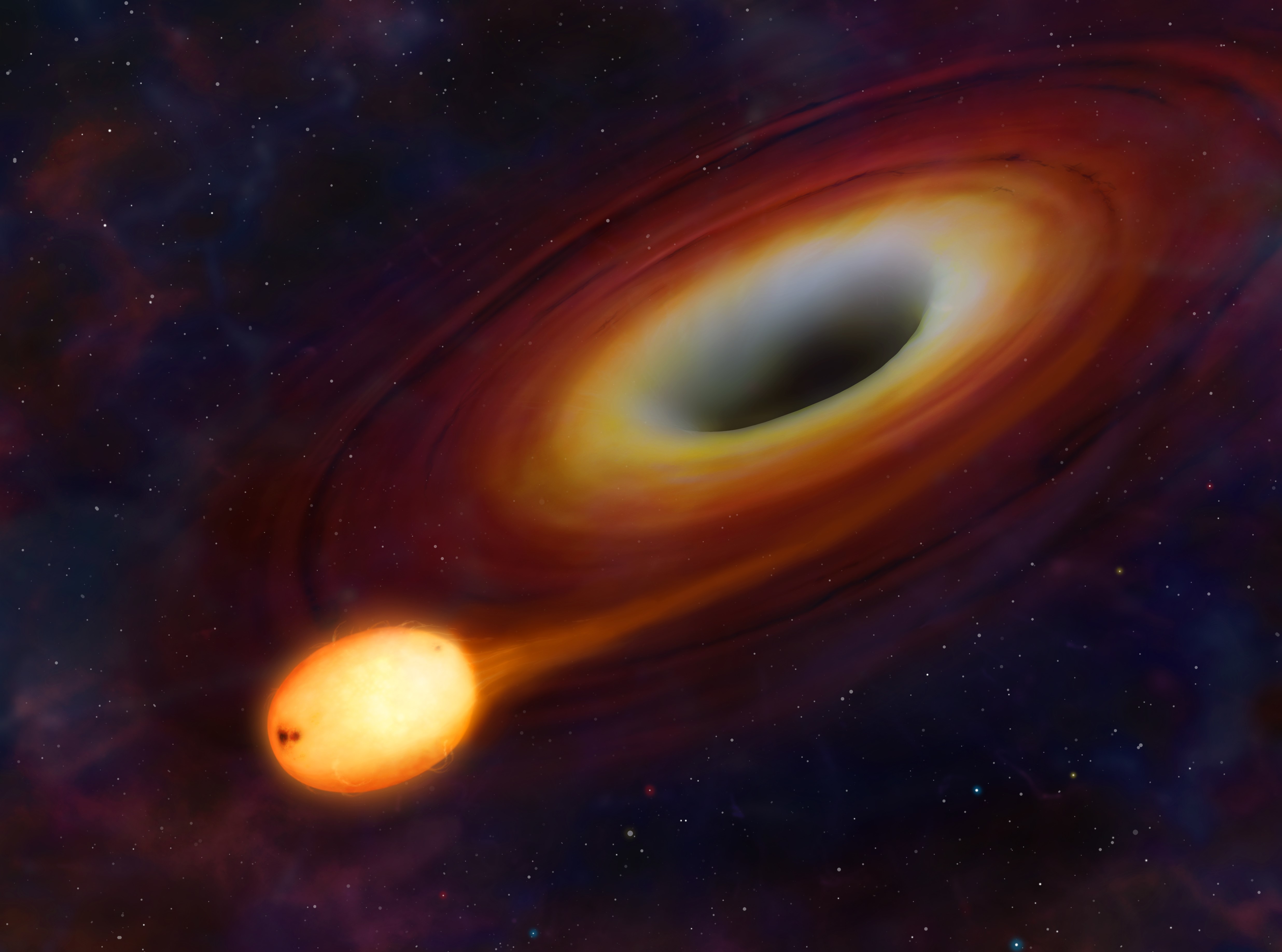 Black hole with accretion disk and star HD Wallpaper