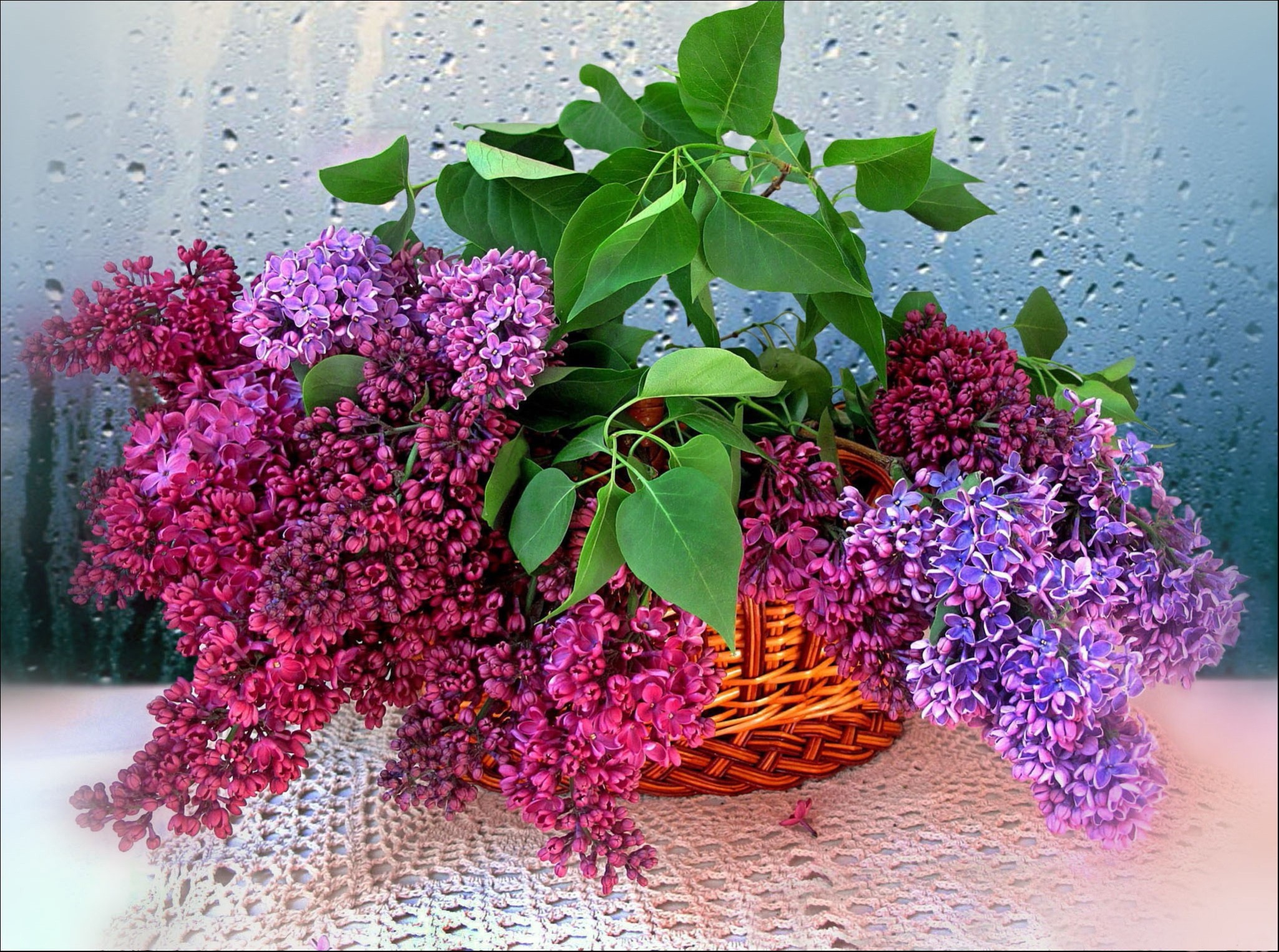 Basket of Lilacs in a Wicker Basket HD Wallpaper