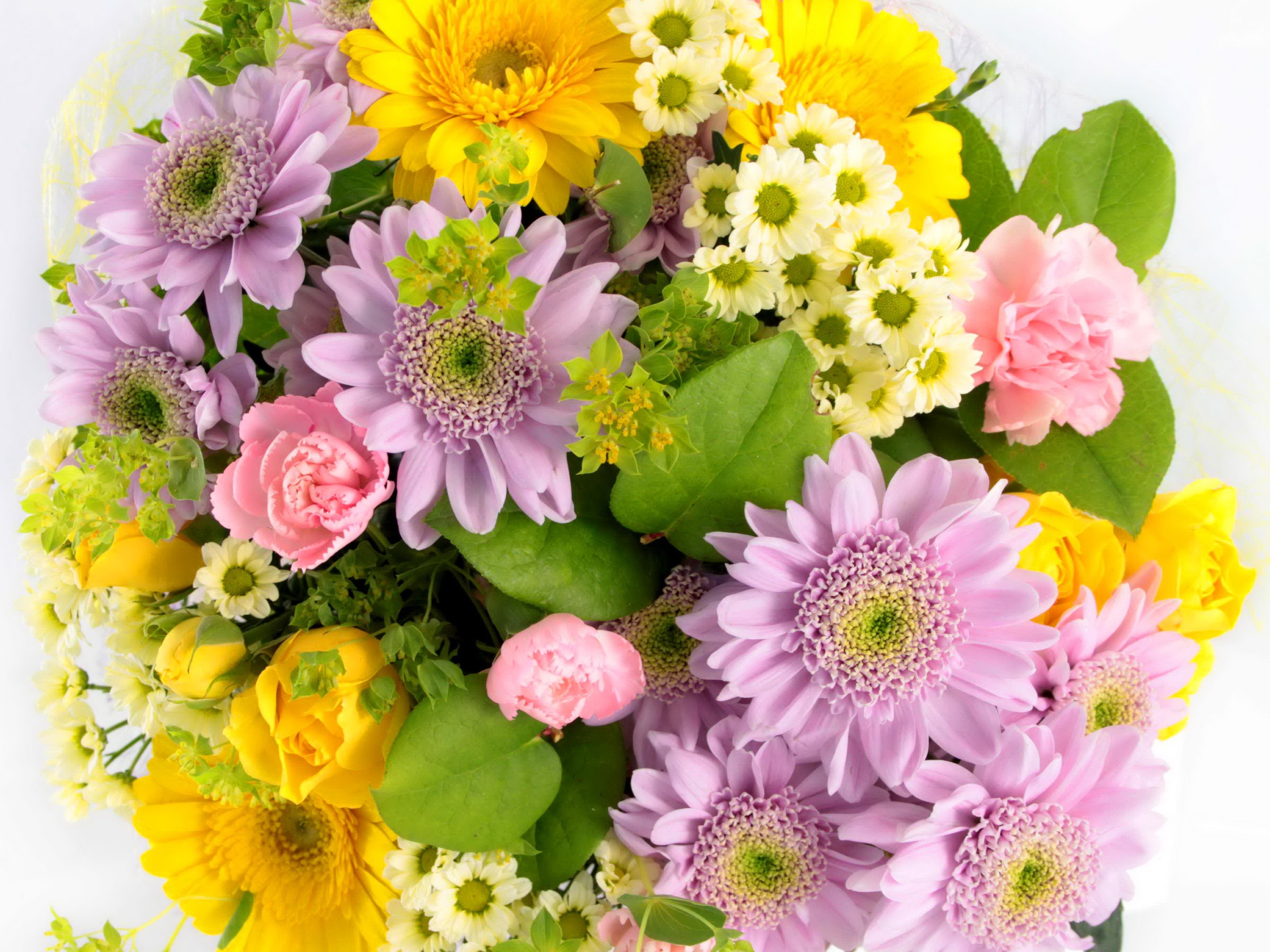 Bouquet of Gerberas, Chrysanthemums, Roses, and Carnations HD Wallpaper