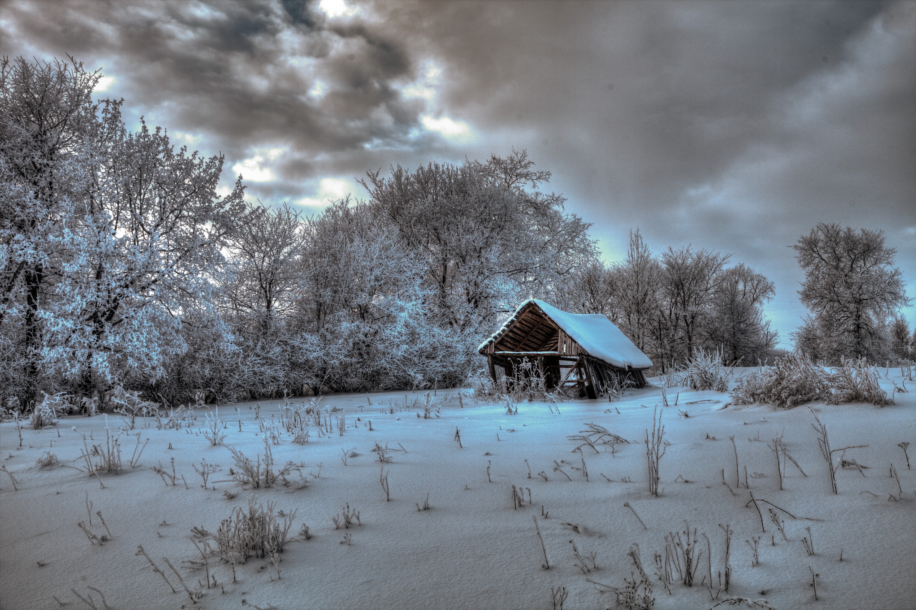 Winter scene with snow-covered trees and abandoned barn HD Wallpaper