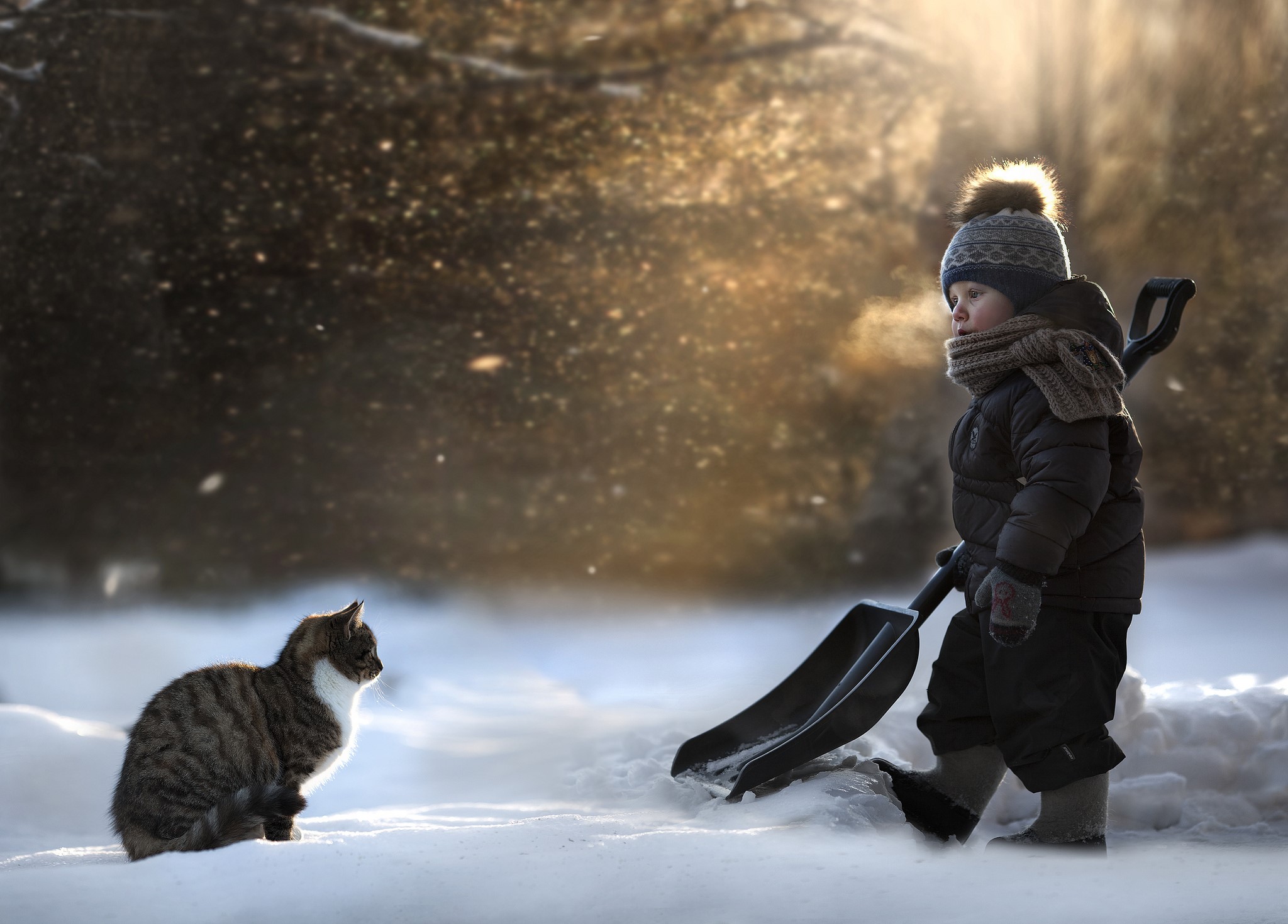 Boy with shovel and cat in the snow HD Wallpaper