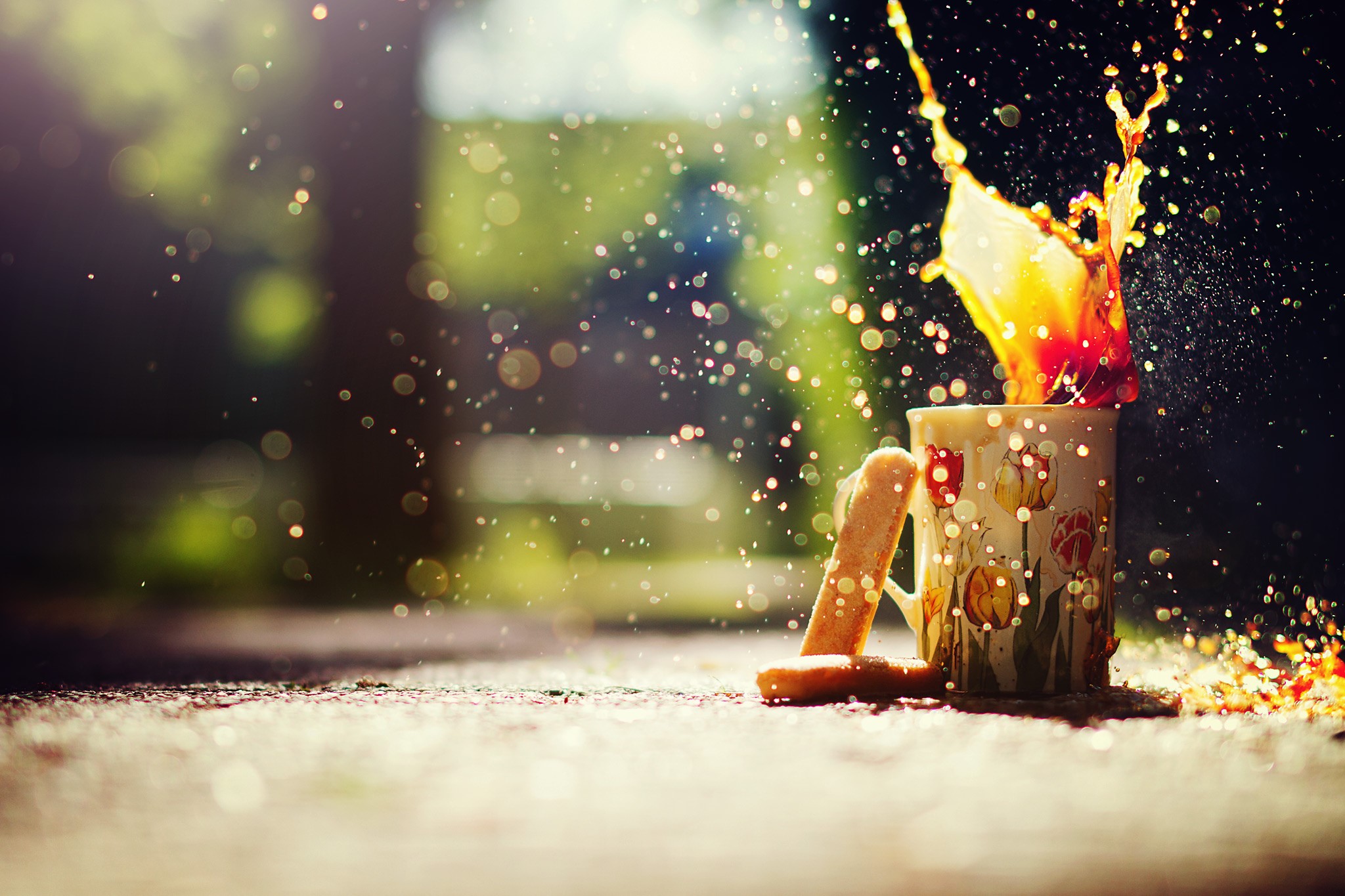 Coffee splash in a mug with cookies HD Wallpaper