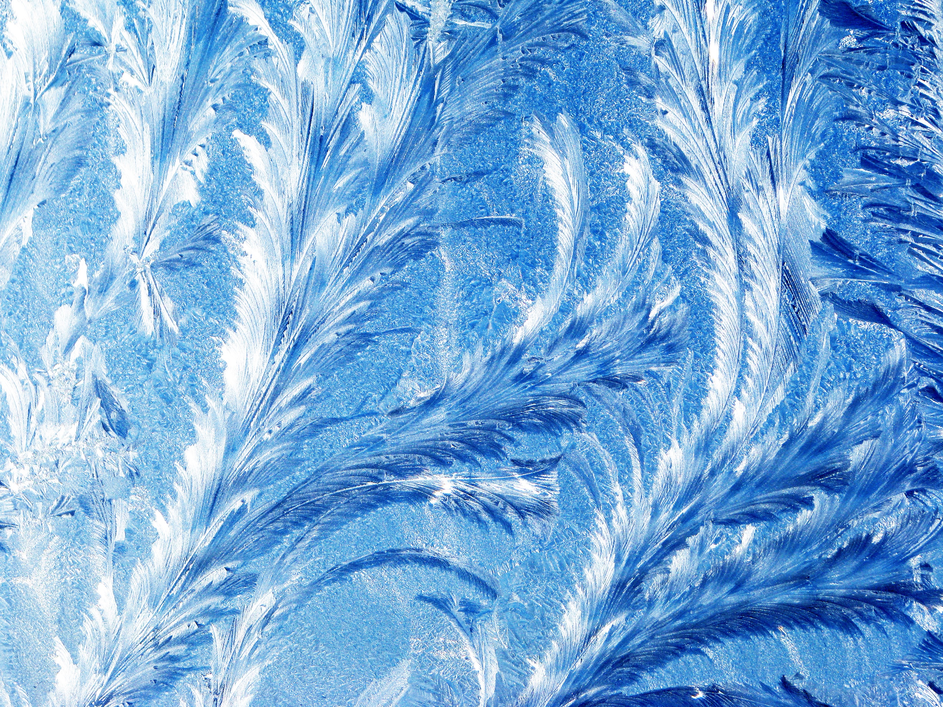 Close-up of frost patterns on a blue surface HD Wallpaper