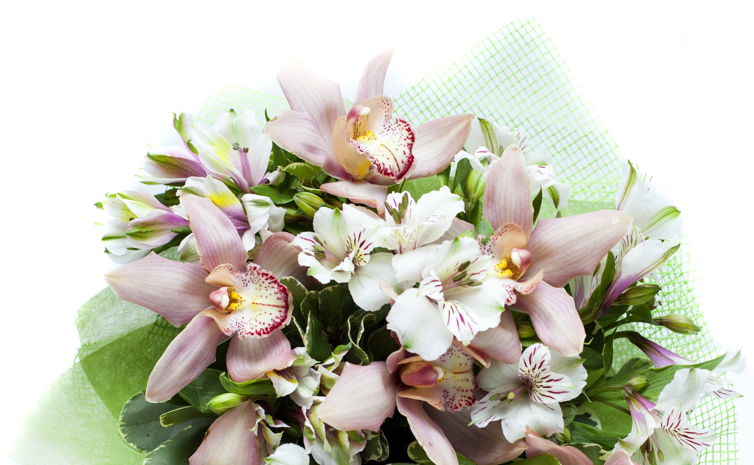 Bouquet of Orchids and Alstroemeria HD Wallpaper