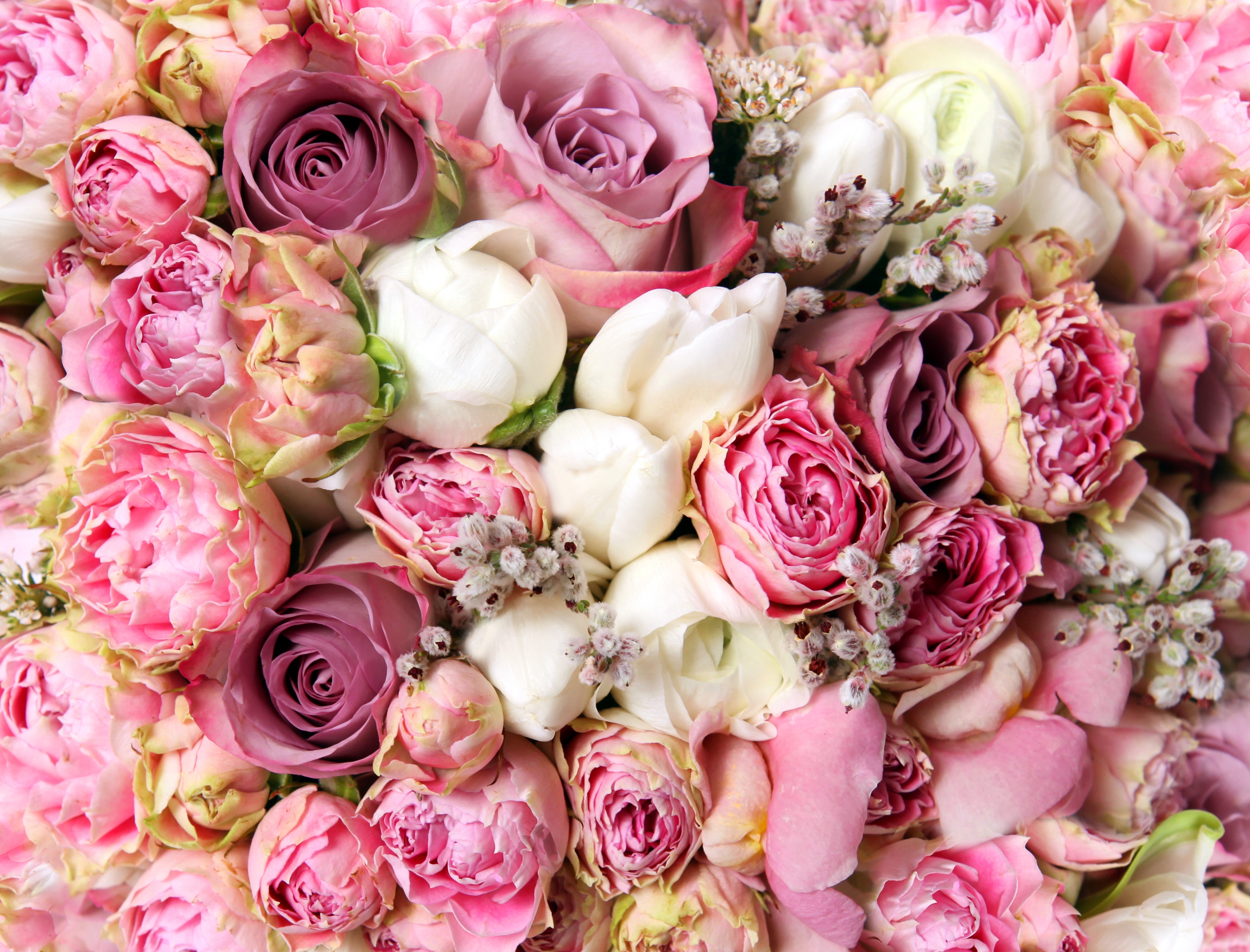 Bouquet of Roses and Ranunculus HD Wallpaper