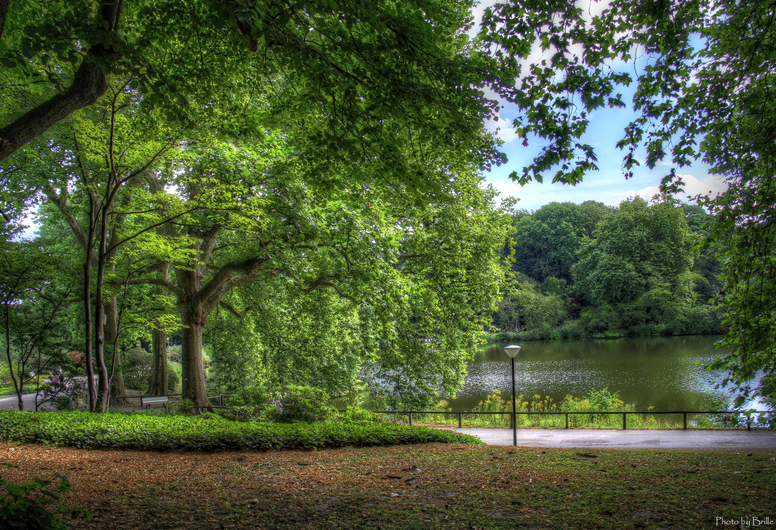 Park with a lake in Dortmund, Germany HD Wallpaper