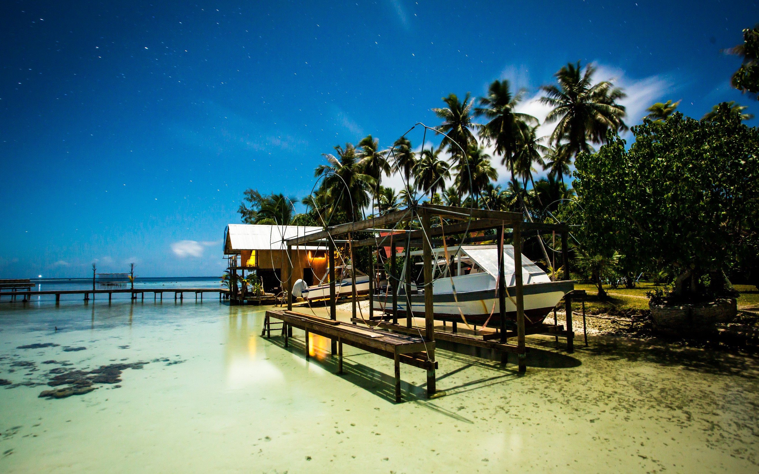 Boats on a dock under palm trees at night HD Wallpaper