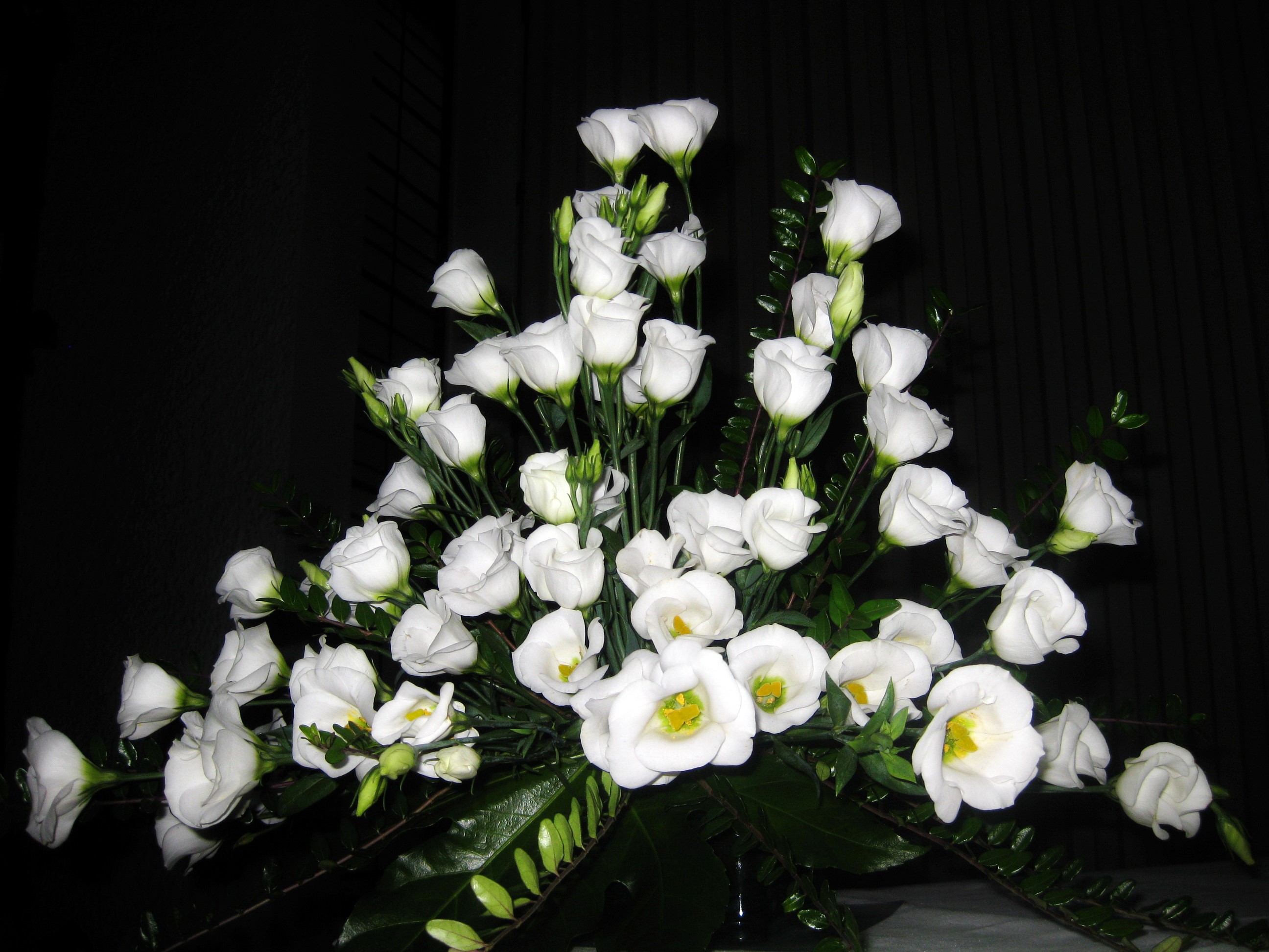 White Eustoma Flower Bouquet HD Wallpaper