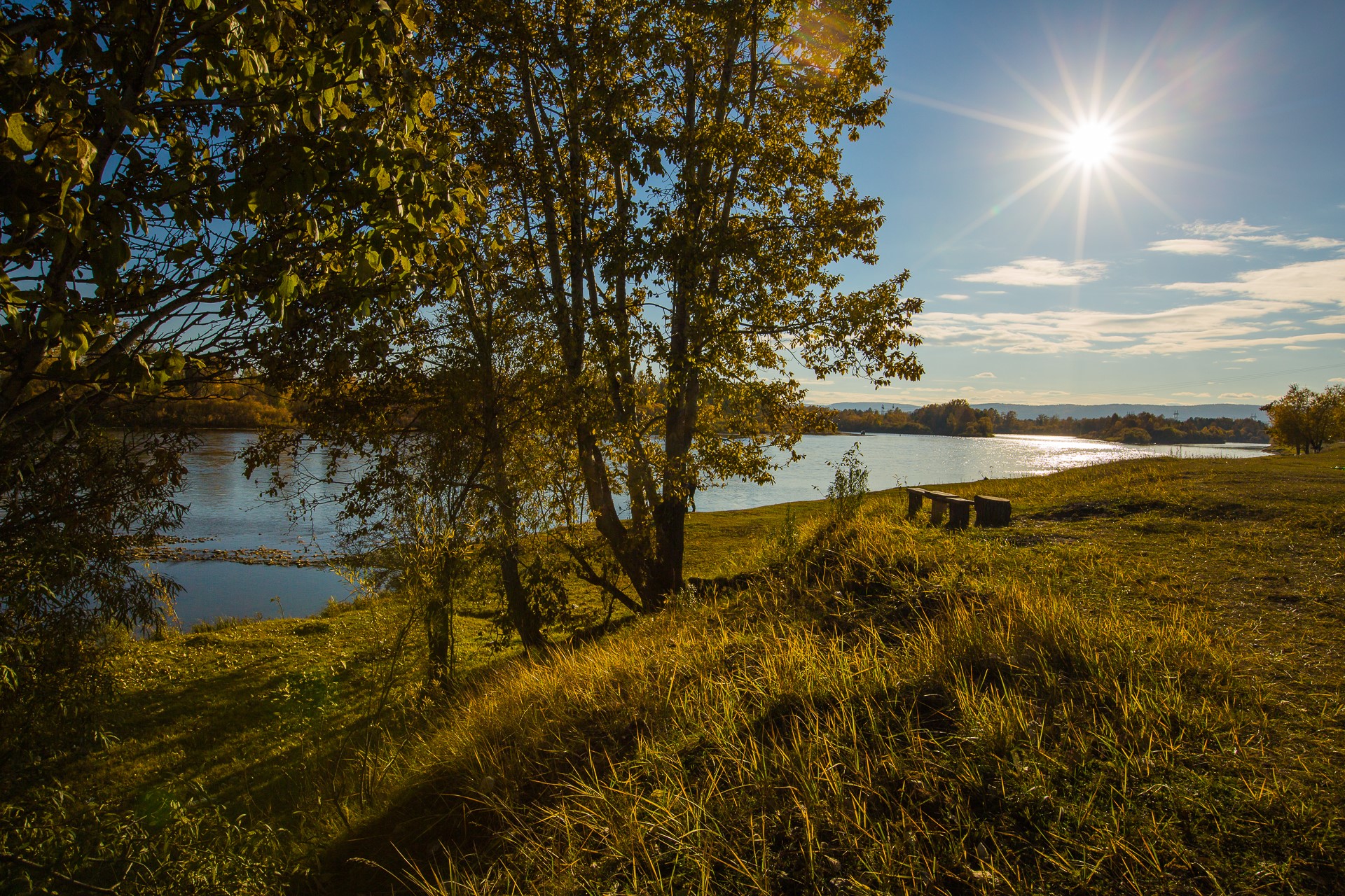 Sunny day by the river with trees and a bench HD Wallpaper