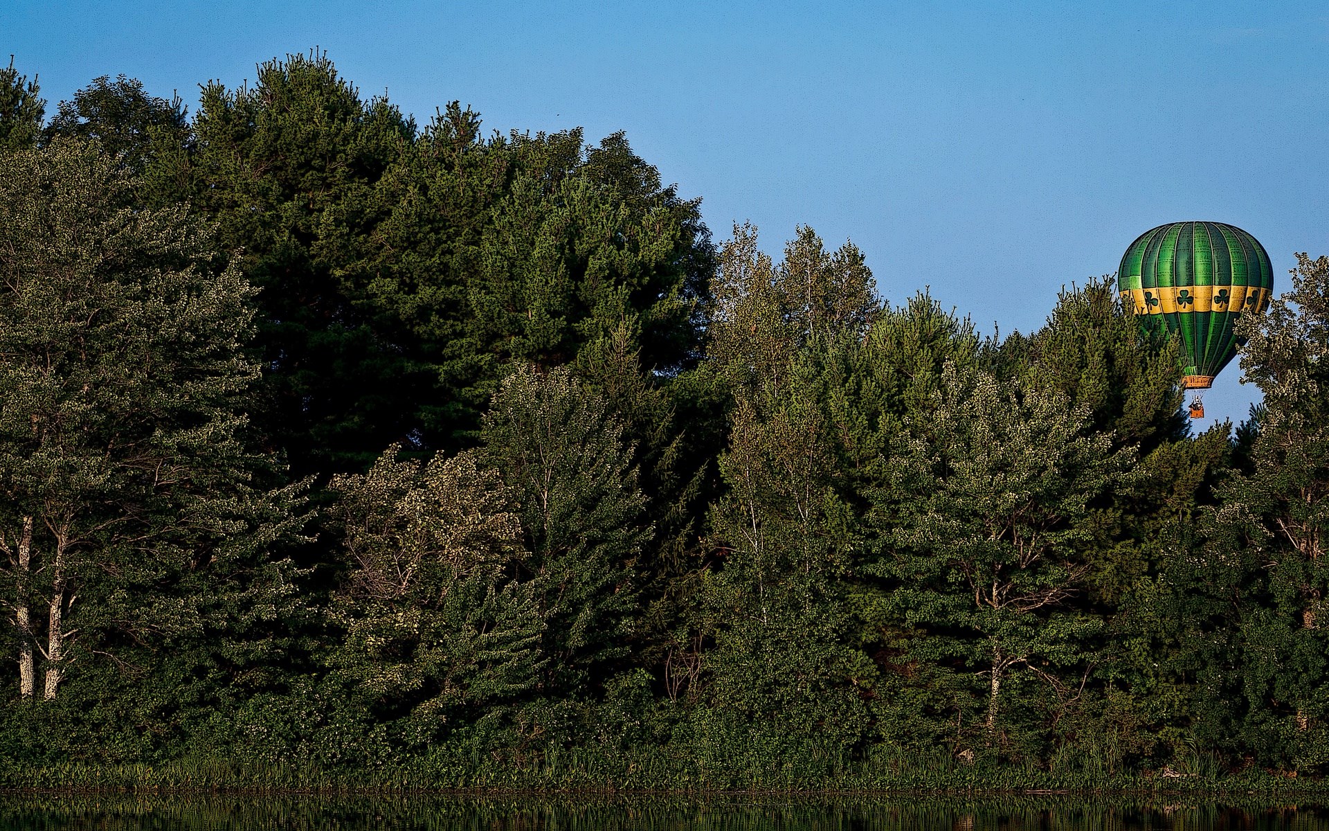 Green hot air balloon over trees HD Wallpaper