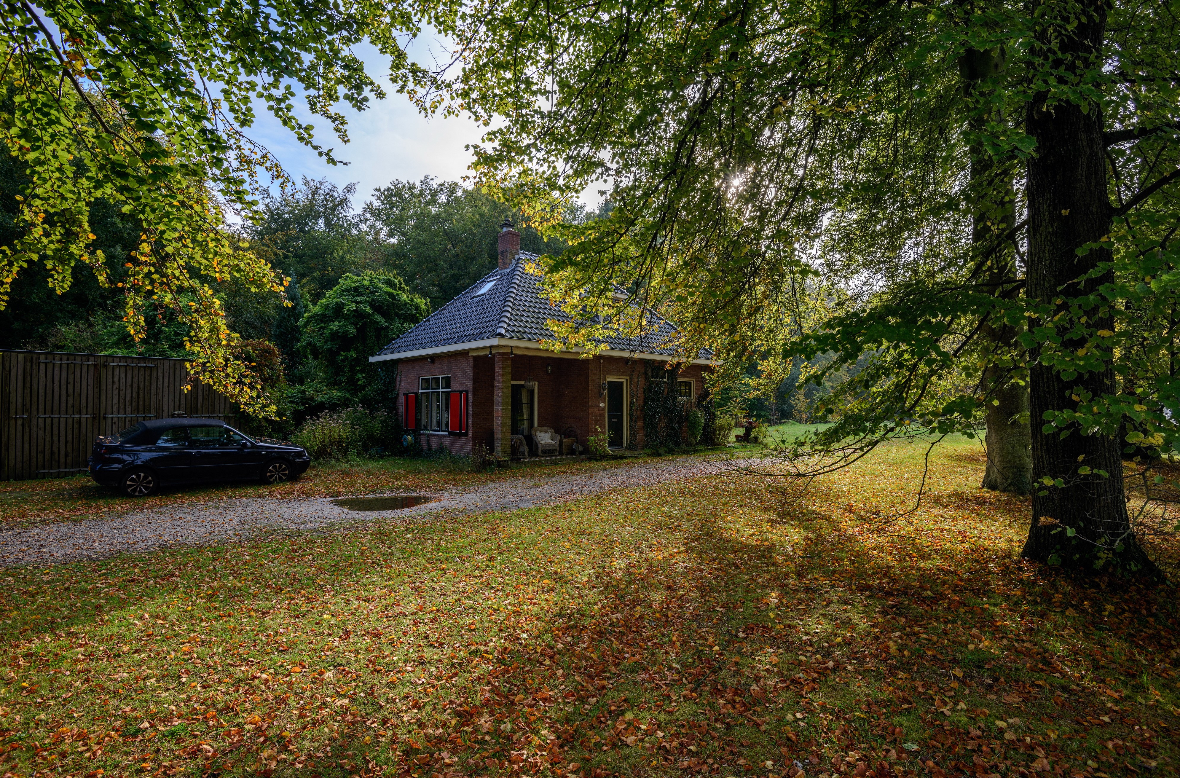 House in a park with trees and foliage in the Netherlands HD Wallpaper
