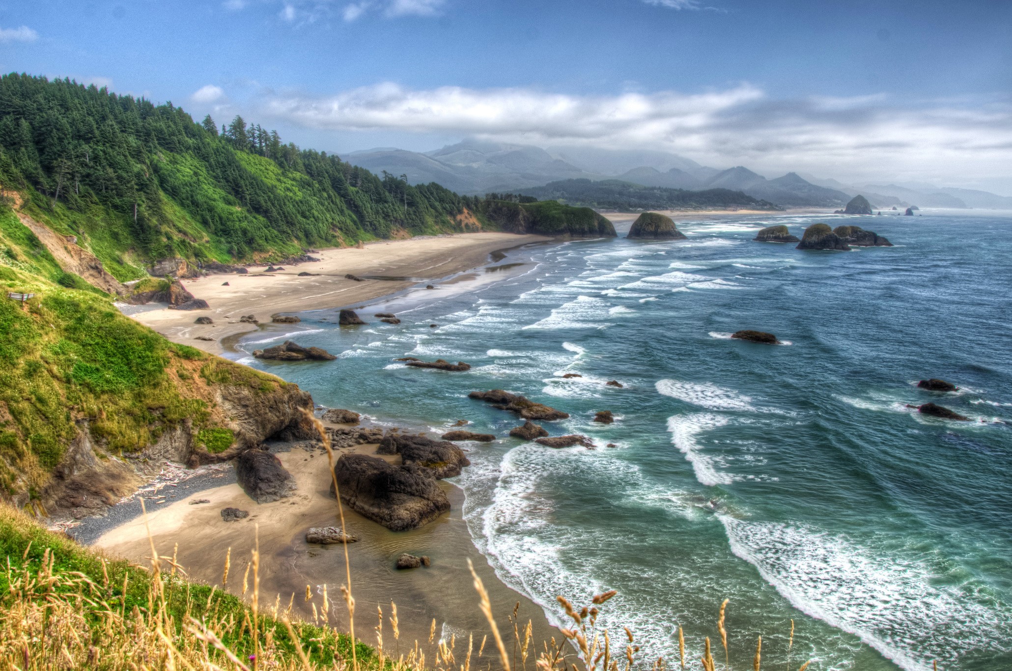 Oregon Coastline with Trees and Ocean Rocks HD Wallpaper