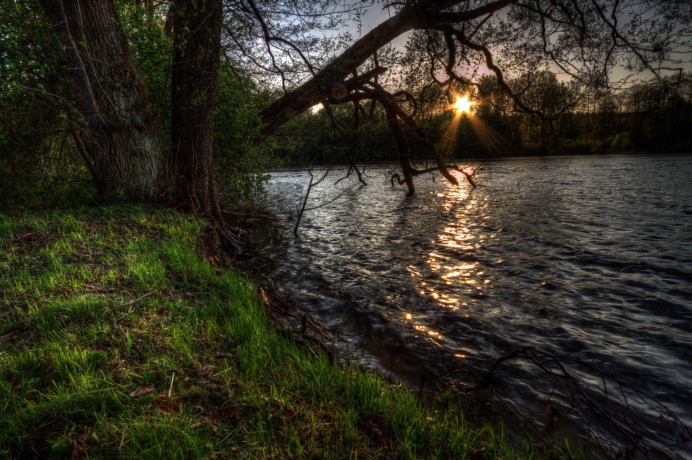 River at sunset with trees and grass in Dadaj, Poland HD Wallpaper