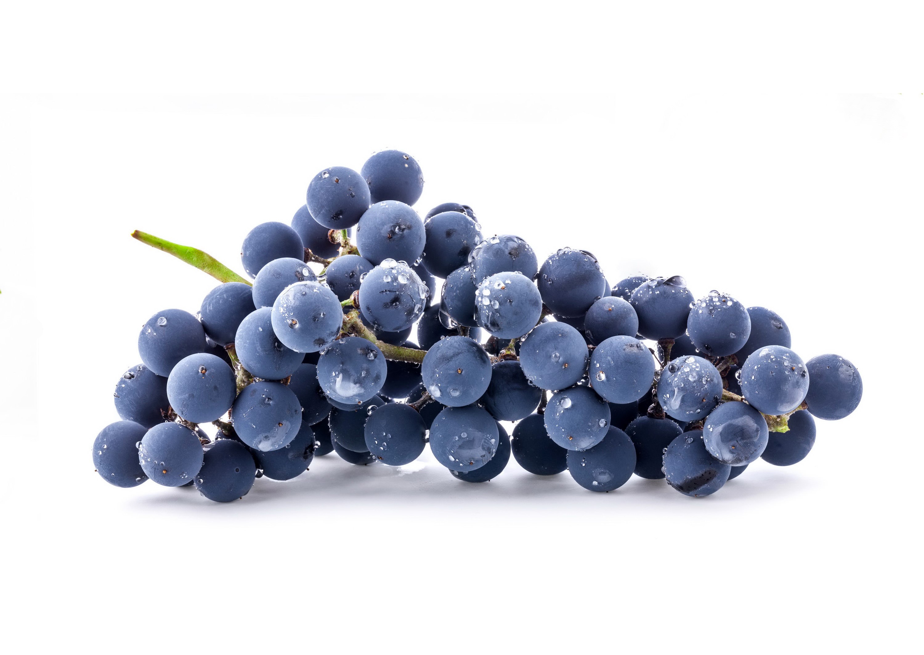 Bunch of blue grapes with water drops HD Wallpaper