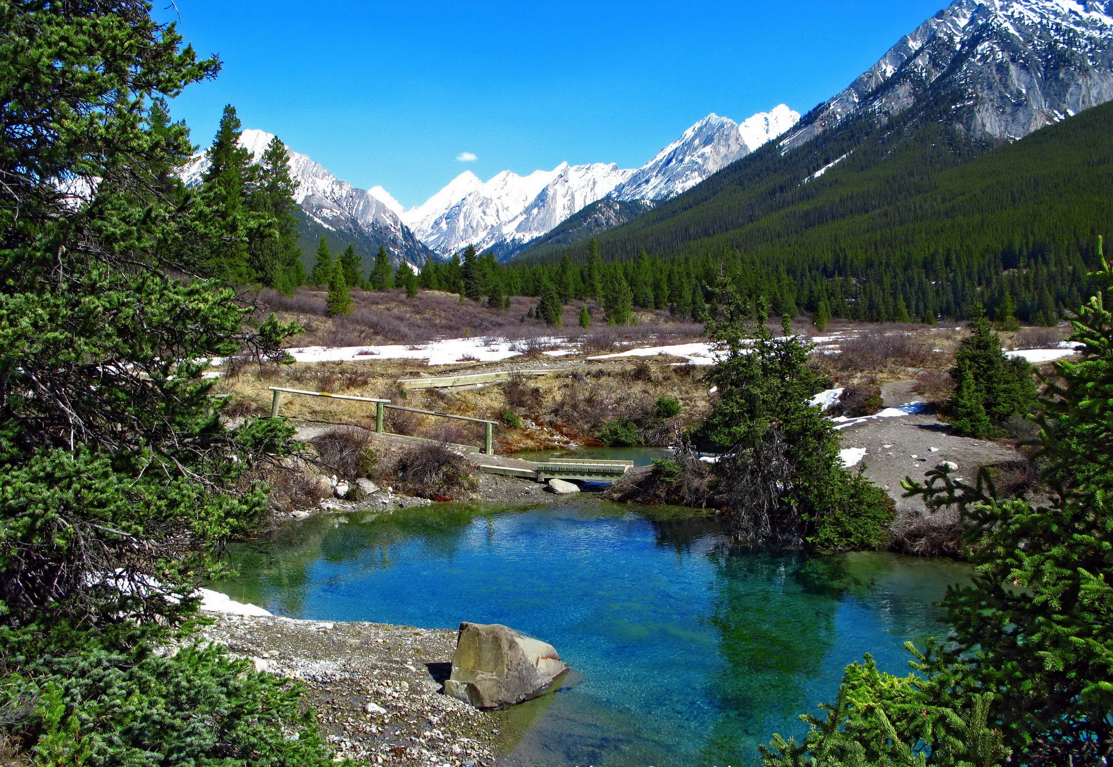 Turquoise mountain lake with snow-capped peaks and pine forest HD Wallpaper