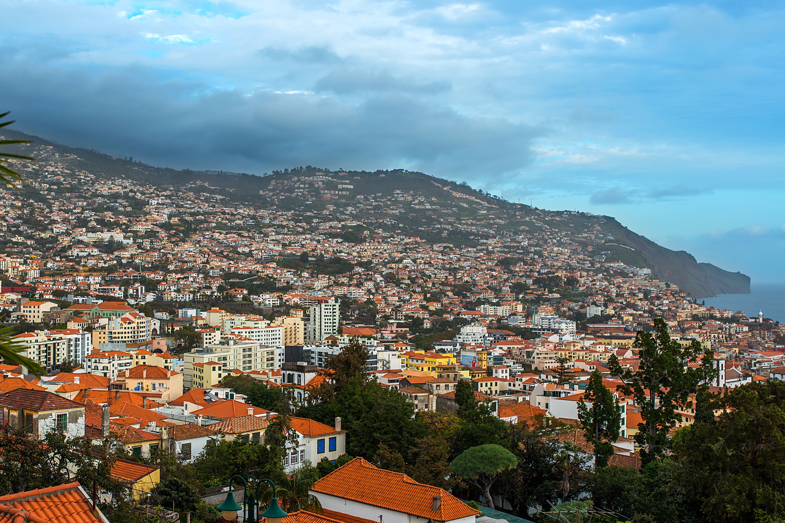 Funchal, Madeira, Portugal cityscape from above HD Wallpaper