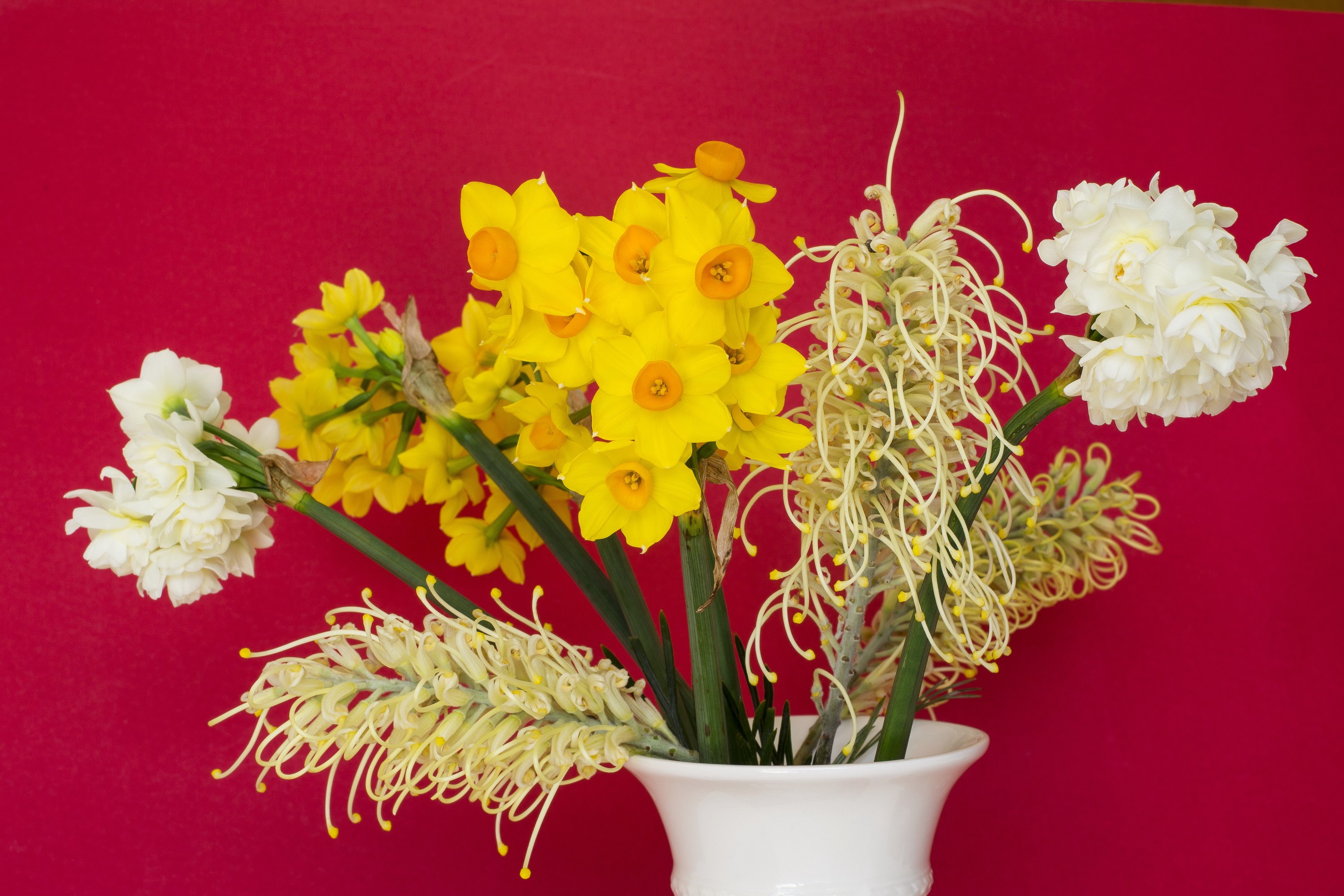 Yellow daffodils and white flowers in a vase HD Wallpaper