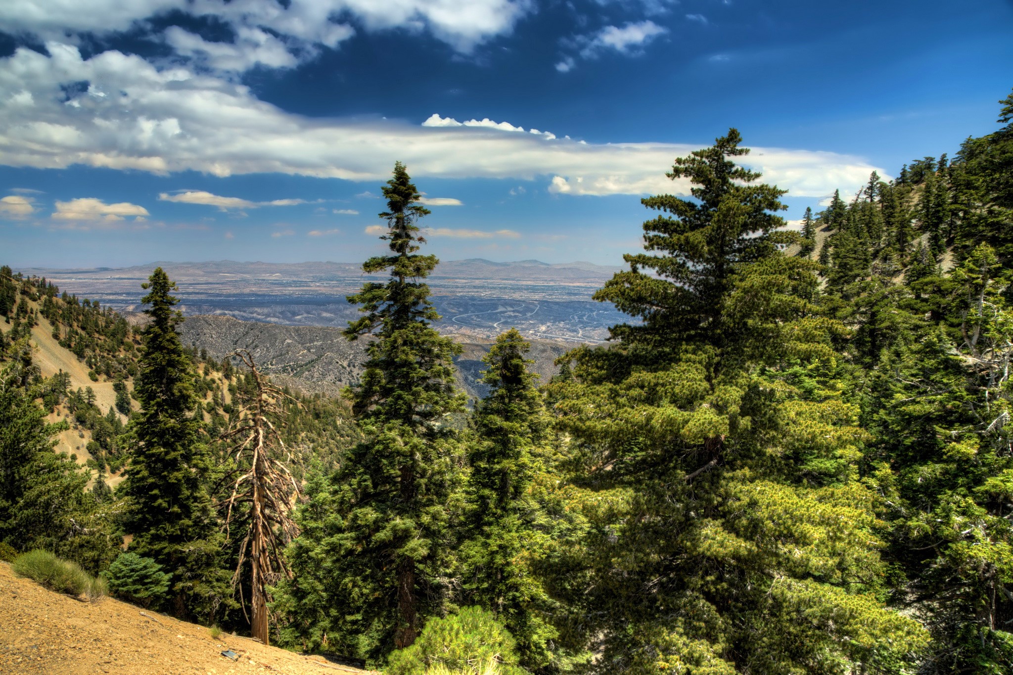 Mountainous landscape with pine trees and a distant valley HD Wallpaper